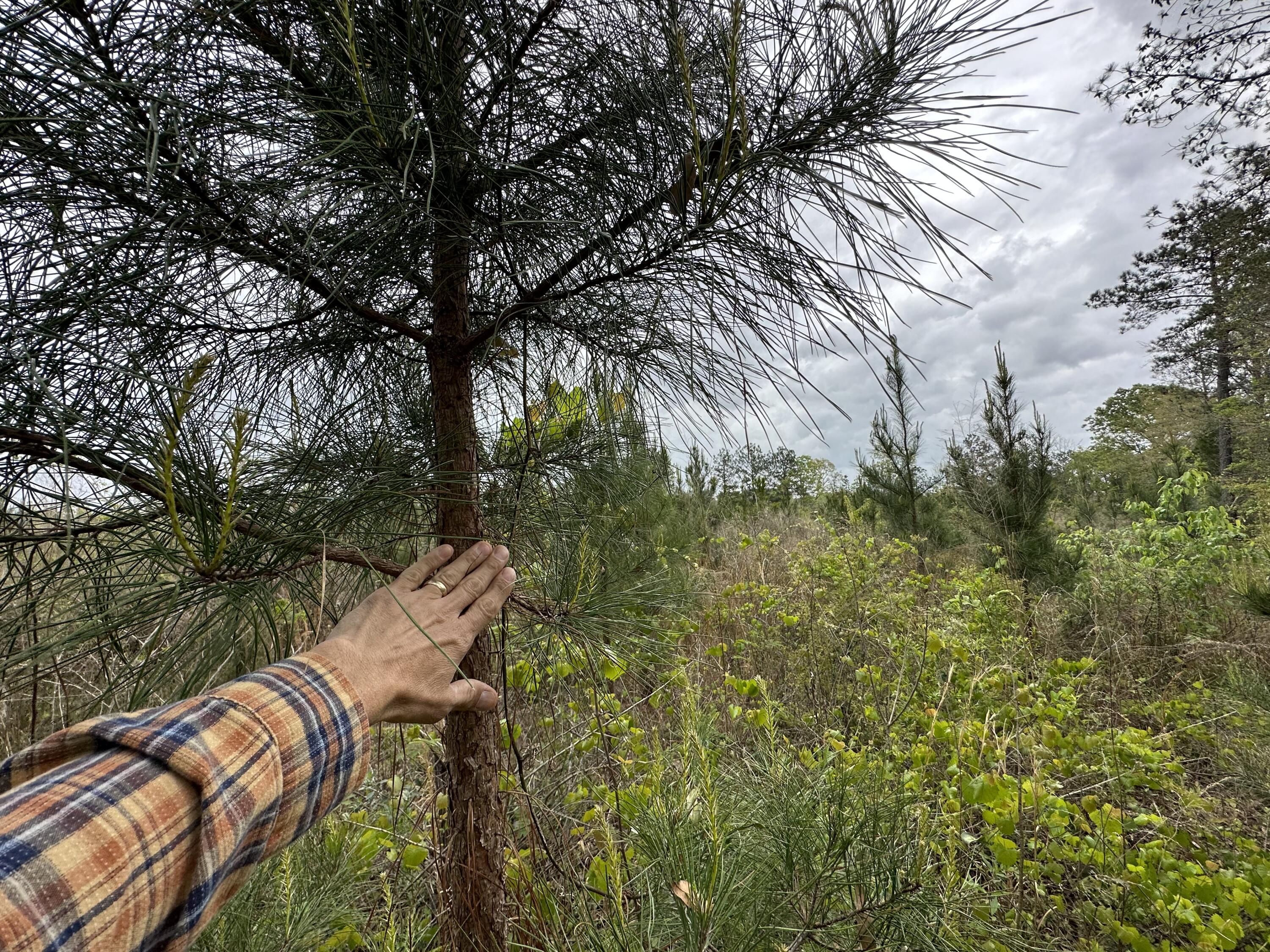 METES & BOUNDS - Land