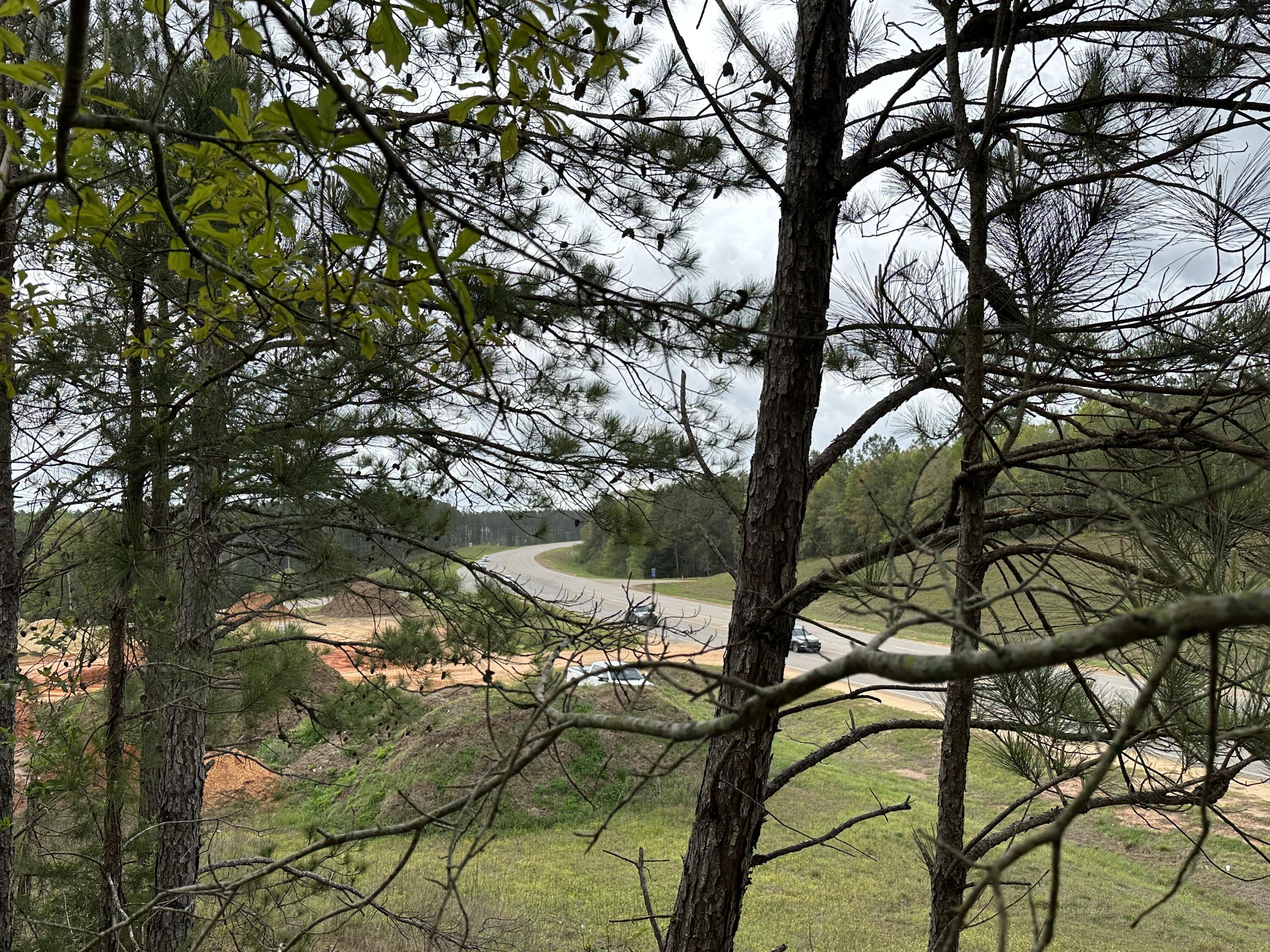 Dream Location for Country Living or Hunters Paradise, either way you won't want to miss this opportunity! Prime land features planted pines, power, paved road and has High elevation but also level for building site potential!! Turkey season coming soon! This beautiful location could be your forever home. Bring your build plans, hunting gear, Horses and ATVS. Easy access to hwy 55, I-65. Short Drive to Andalusia.