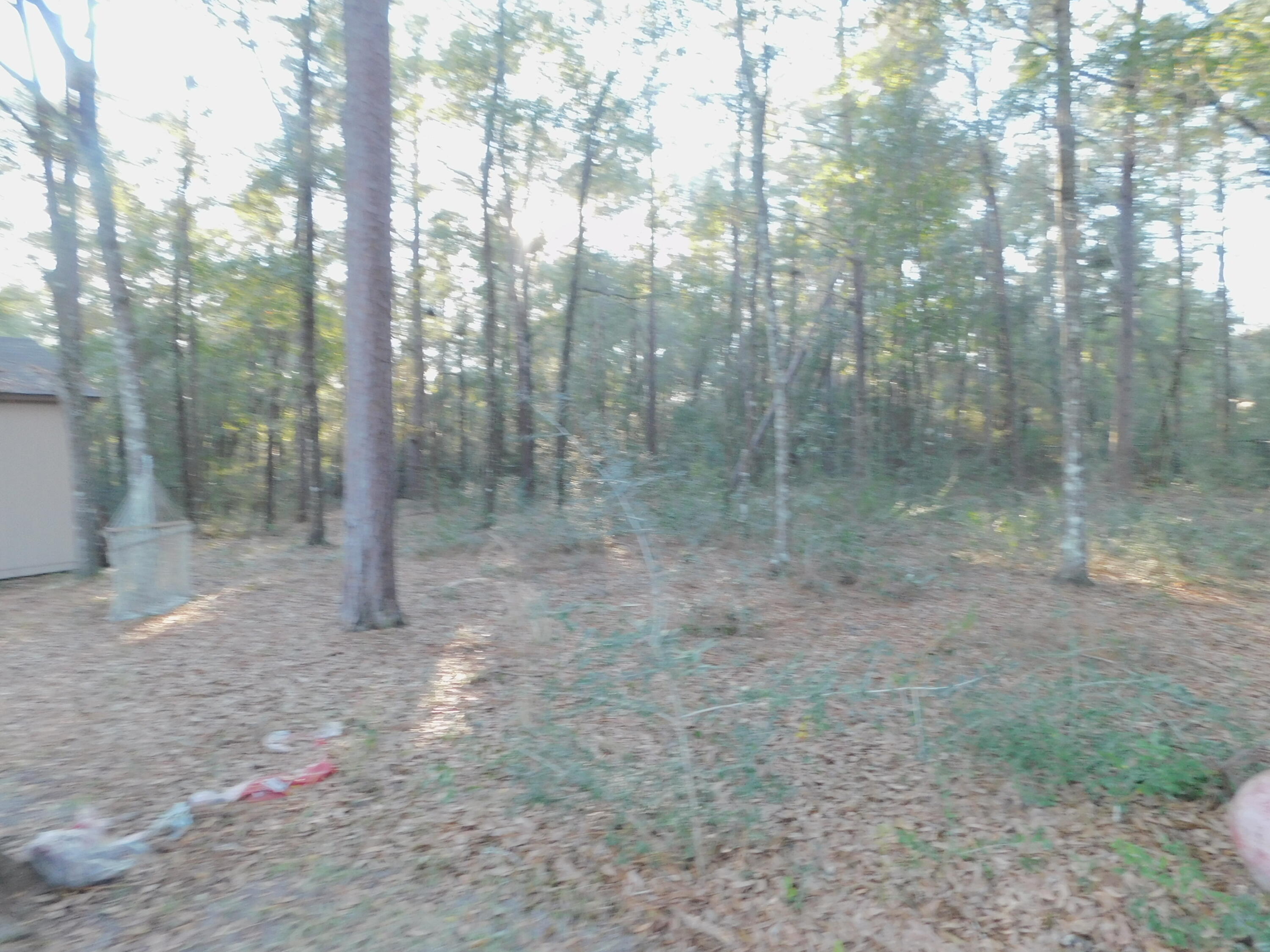 CAMELLIA COVE - Residential