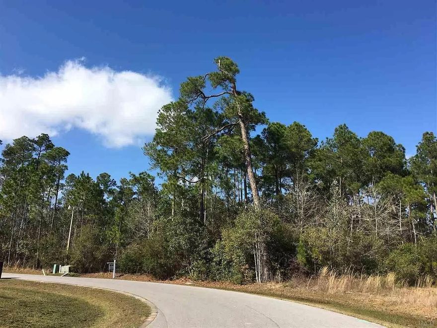 Natural wooded half-acre lot located on the outer perimeter of a beautiful waterfront community. Contemporary homes must be at least 1,600 sq ft and usually sell in the mid $200's to mid $300's. This would be a great investment to build and sell, or enjoy all the peace and serenity for yourself! The Bernath Place community includes water access with private neighborhood boat ramp on Mulatto Bayou, which leads out to Escambia Bay. This is a great place to launch your jet ski, kayak, or paddle boards and enjoy the beautiful outdoors and sunsets.