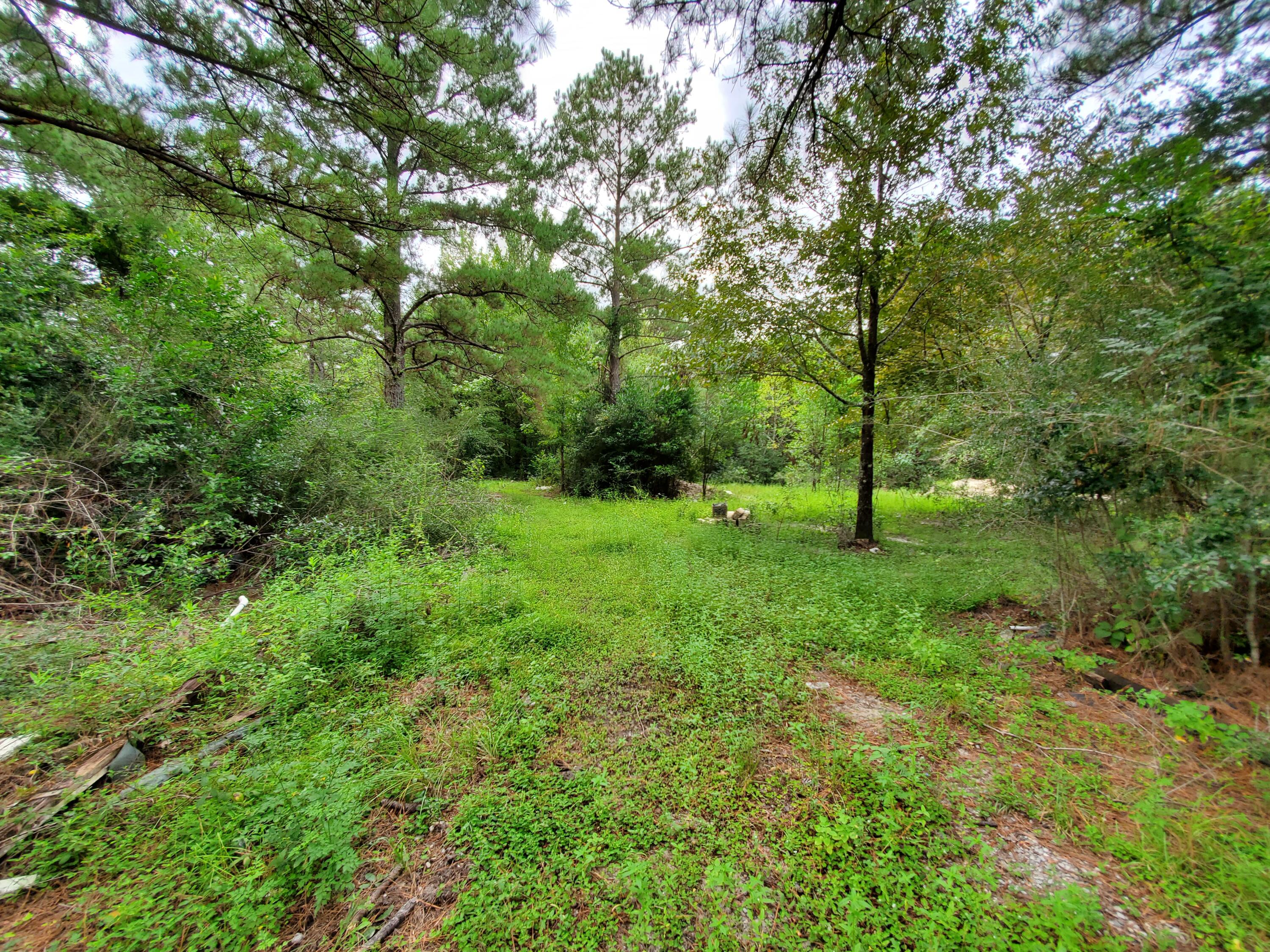 SHOAL RIVER PLANTATION UNREC - Land