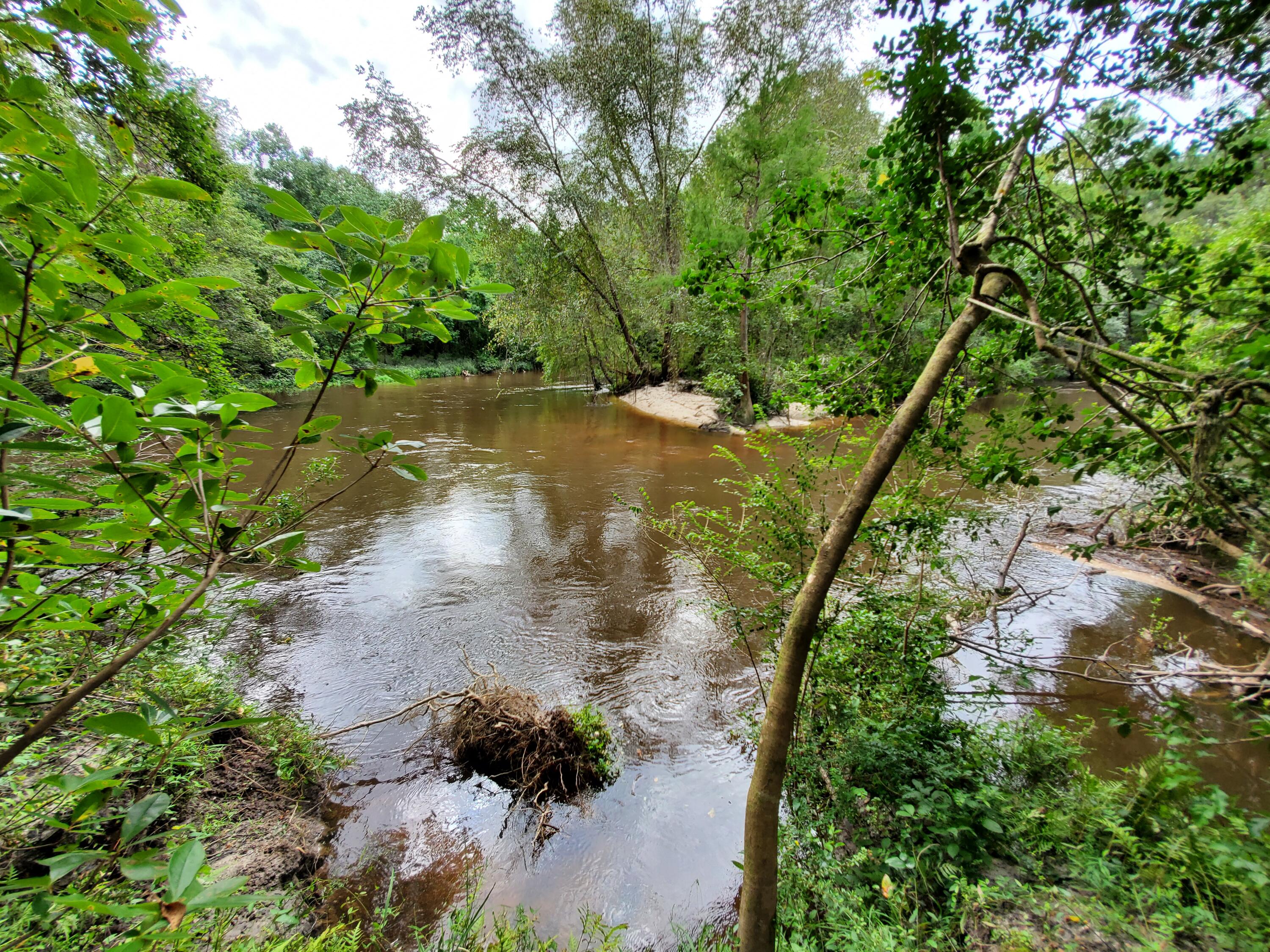 SHOAL RIVER PLANTATION UNREC - Land