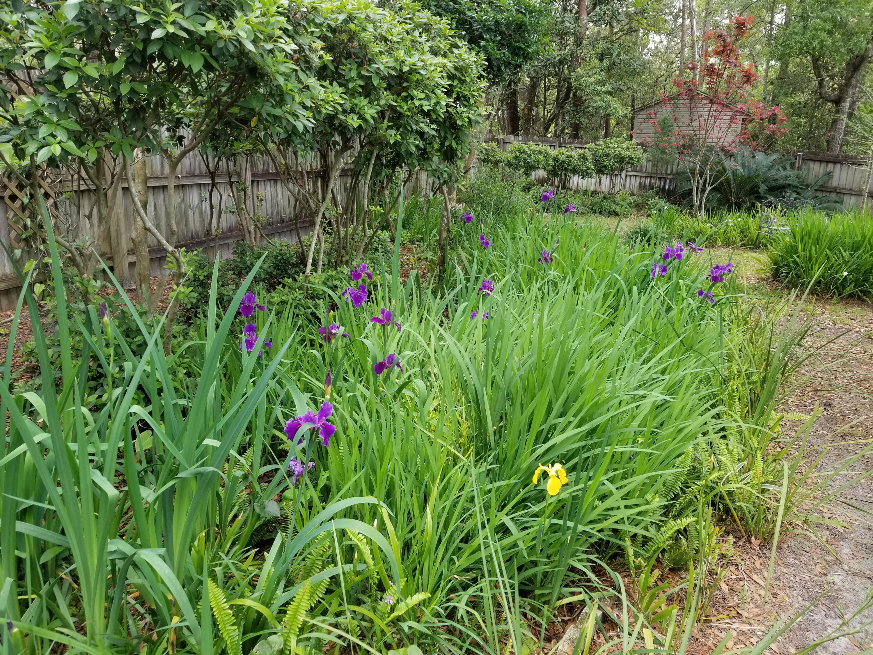 ROCKY,LAKEWAY,FAIRWY - Residential