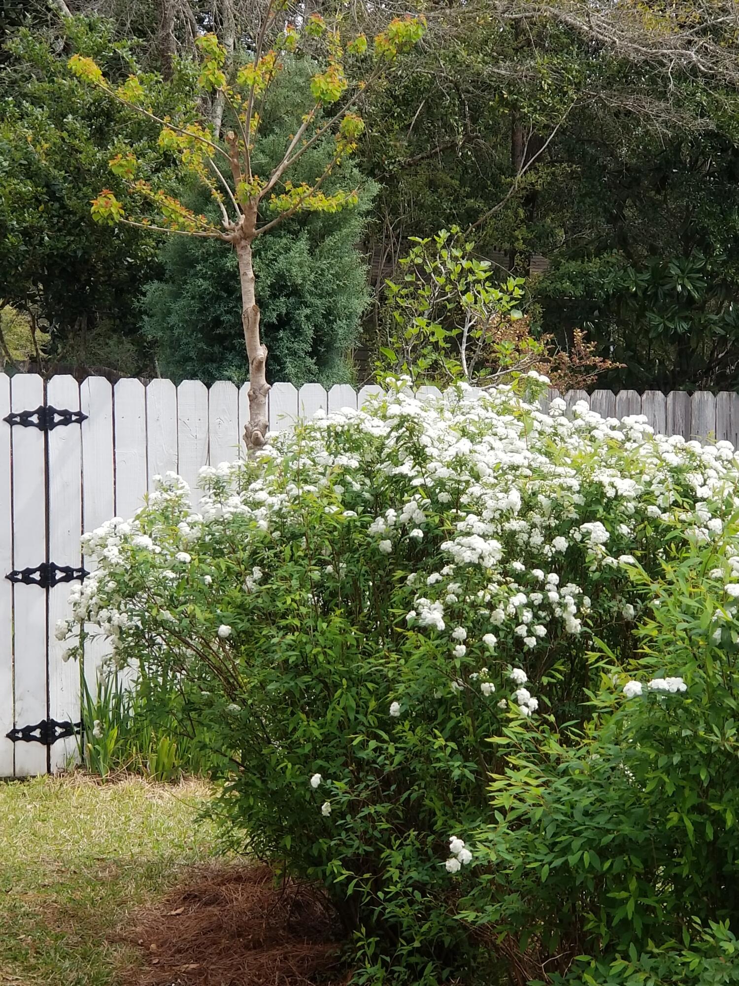 ROCKY,LAKEWAY,FAIRWY - Residential