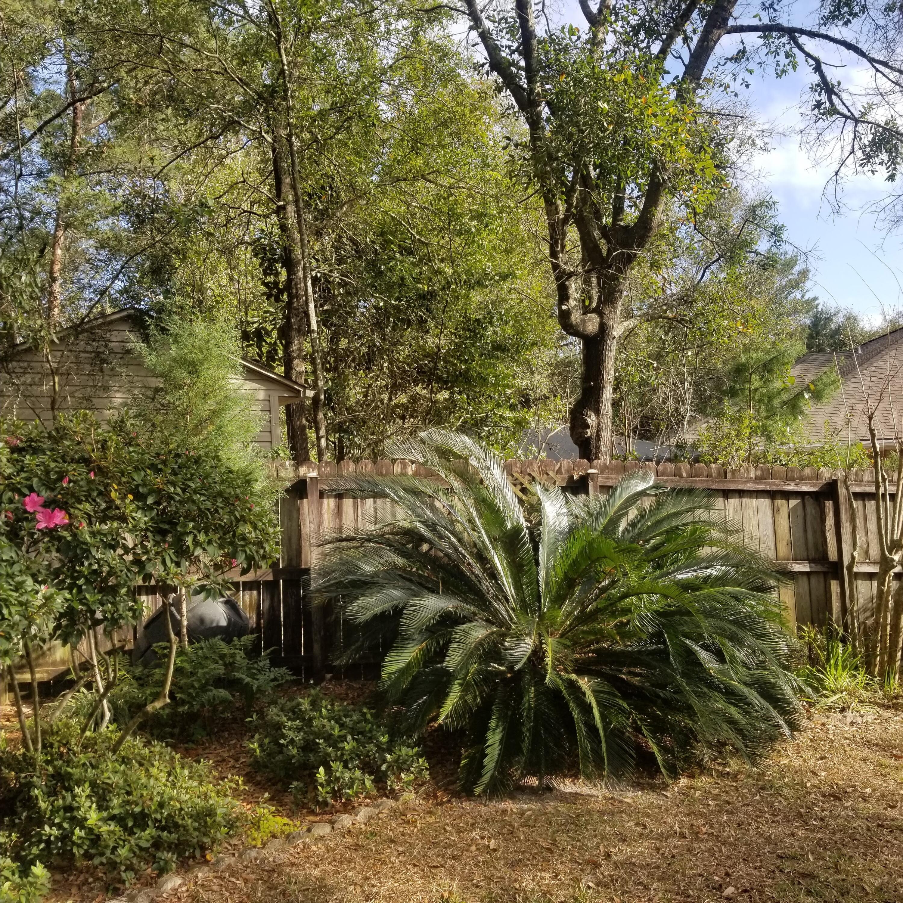 ROCKY,LAKEWAY,FAIRWY - Residential