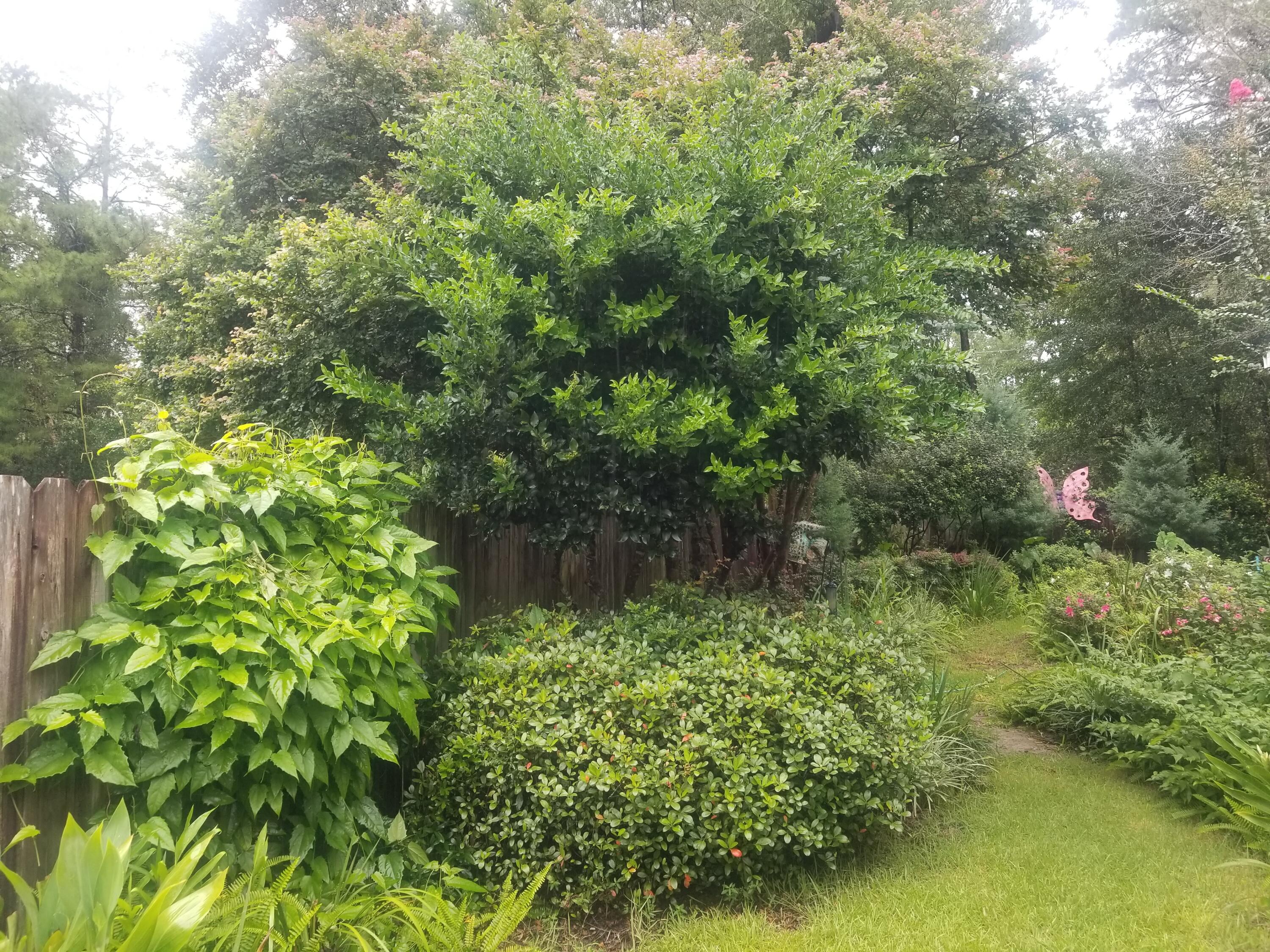 ROCKY,LAKEWAY,FAIRWY - Residential