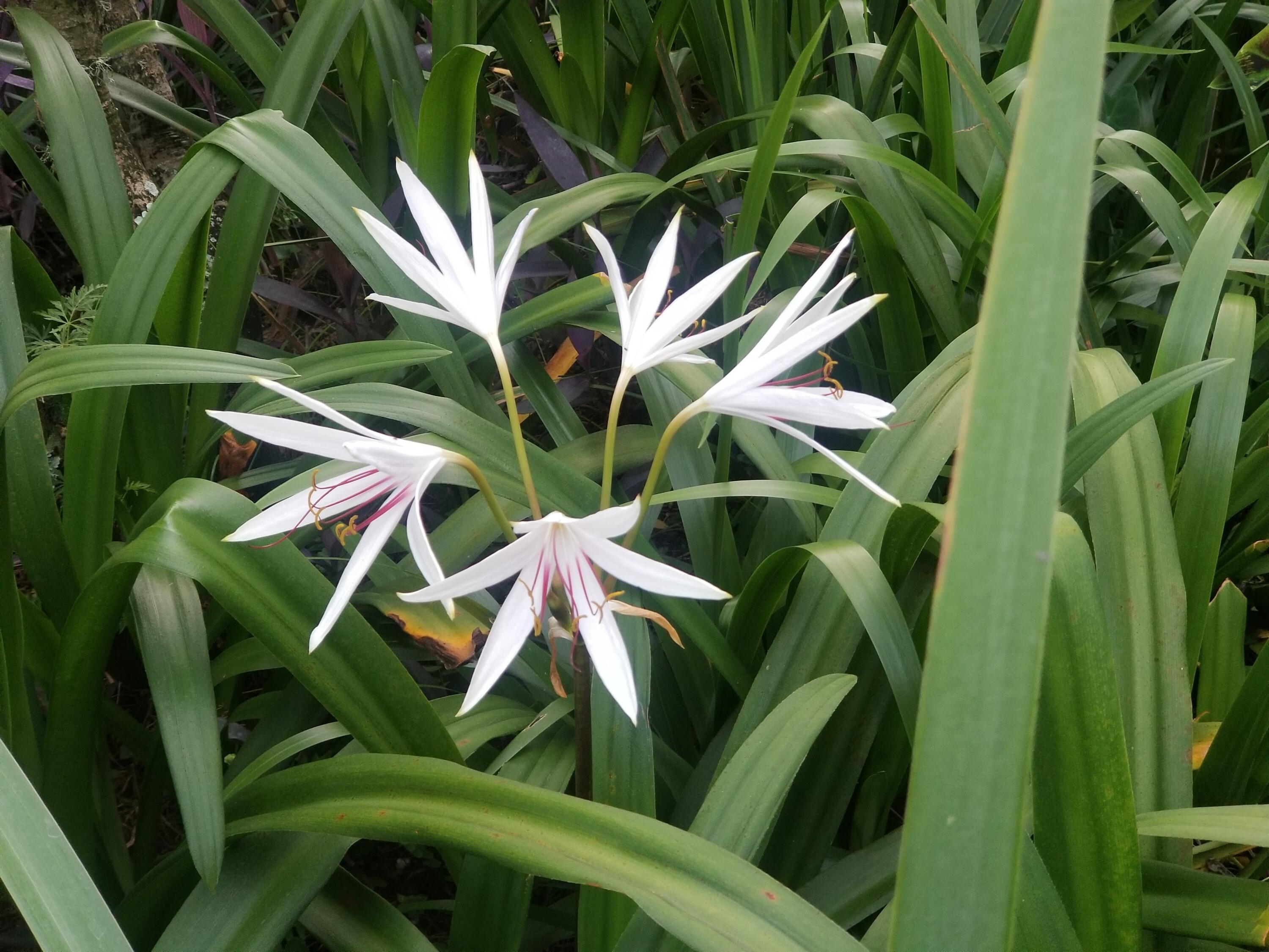 ROCKY,LAKEWAY,FAIRWY - Residential