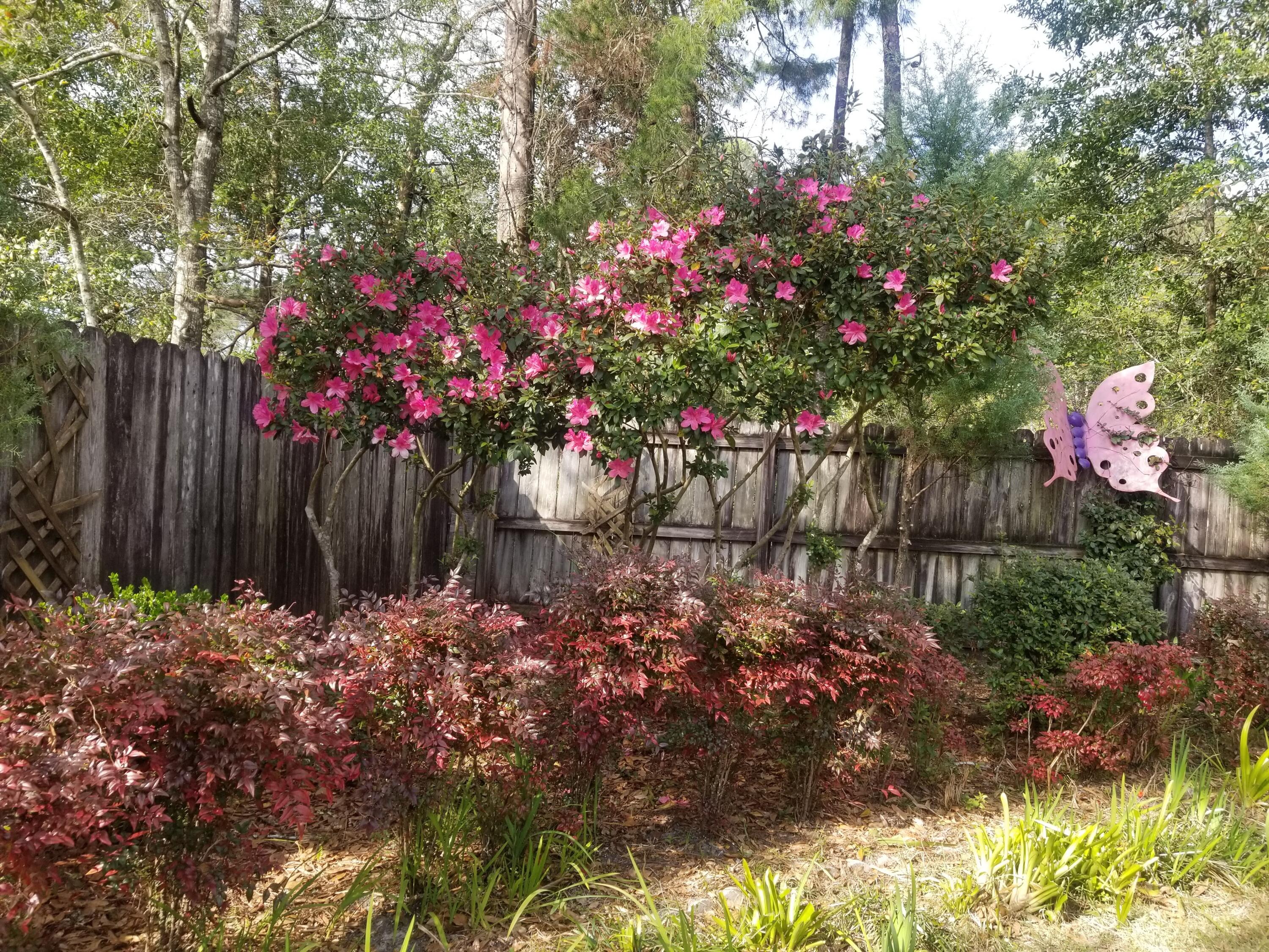 ROCKY,LAKEWAY,FAIRWY - Residential