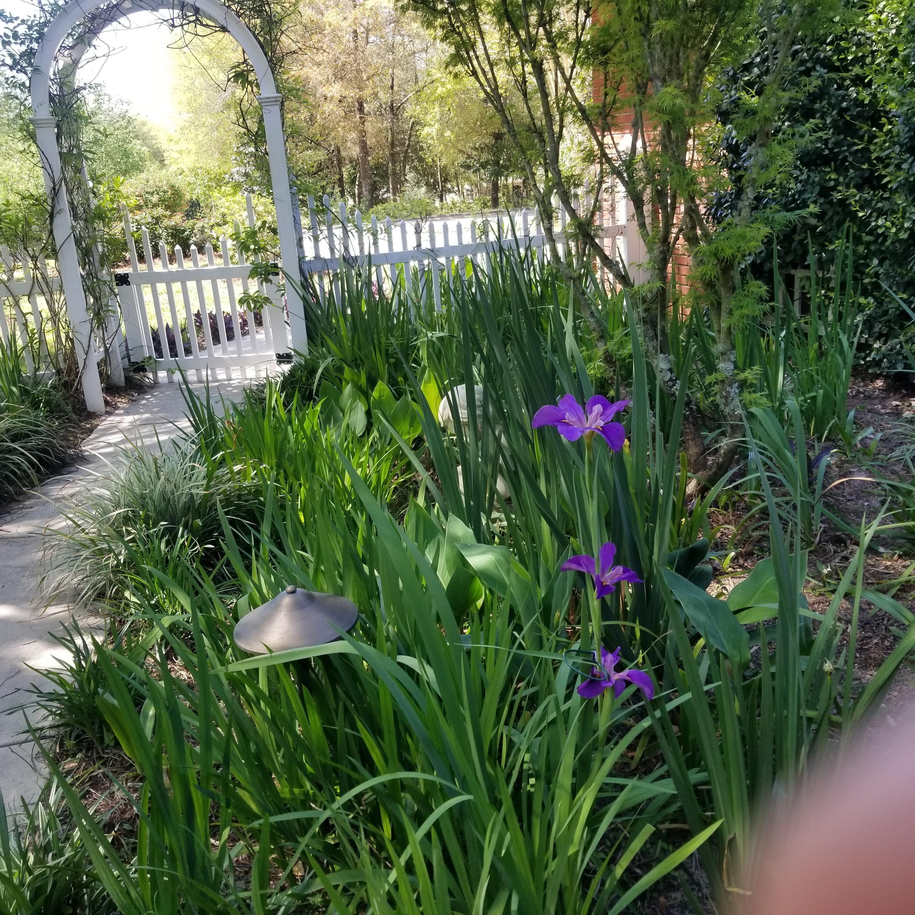 ROCKY,LAKEWAY,FAIRWY - Residential