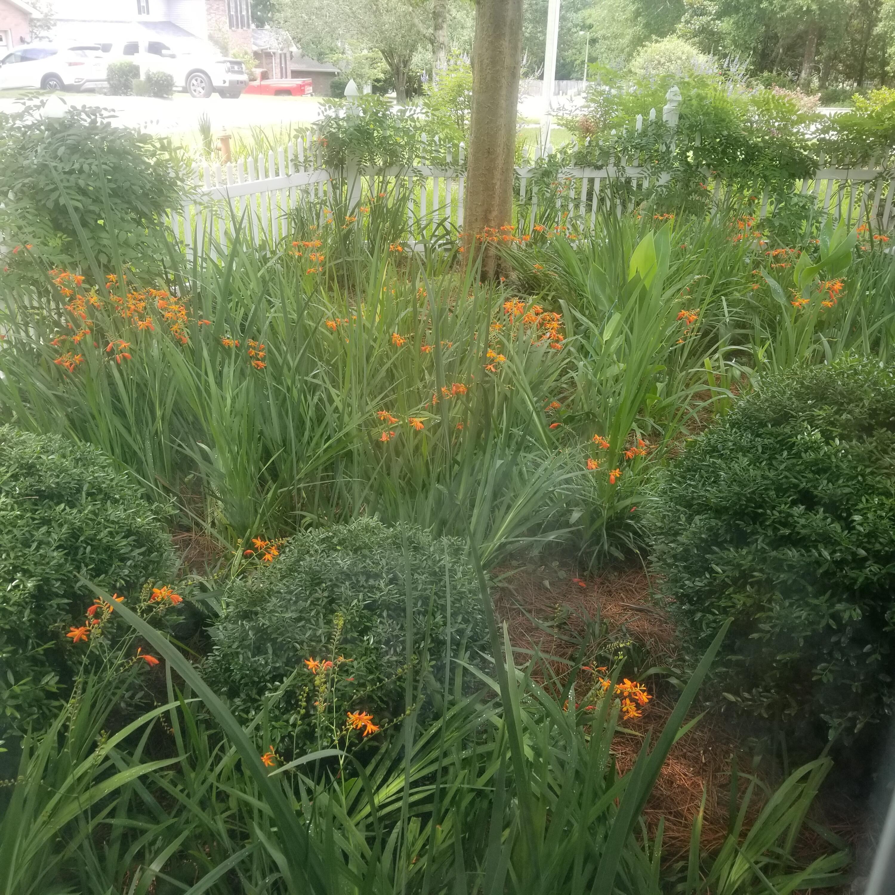 ROCKY,LAKEWAY,FAIRWY - Residential