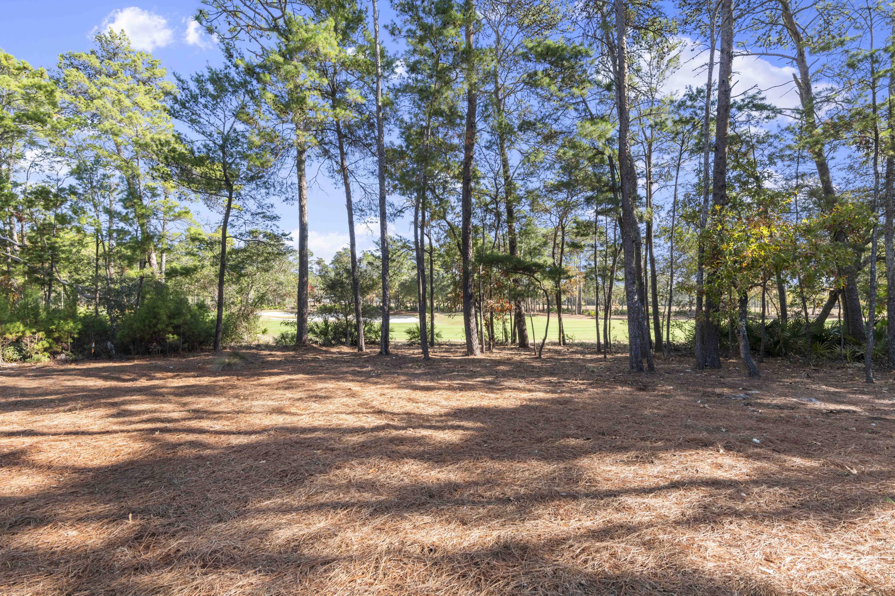 WILD HERON PHASE III - Residential