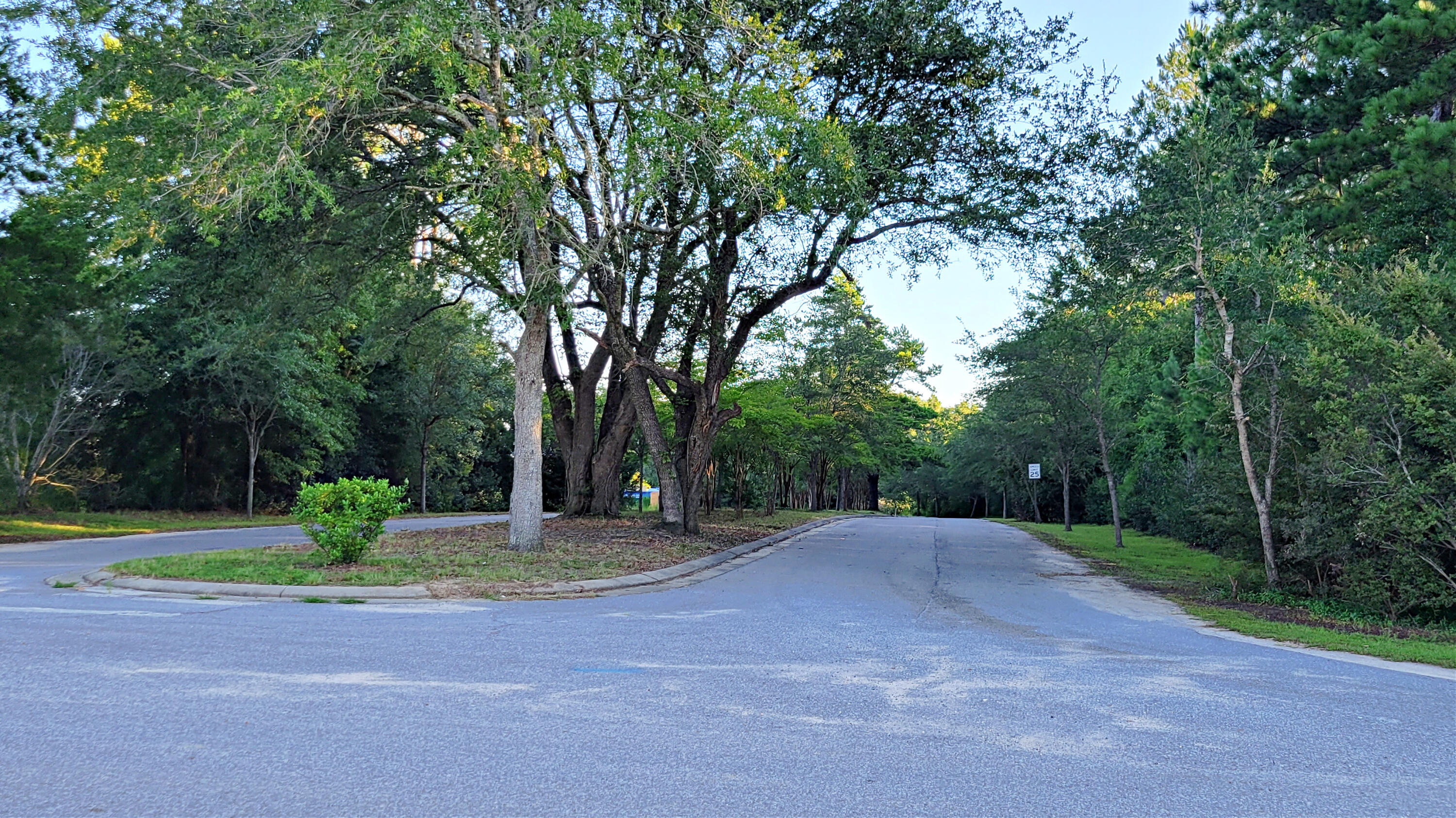 Half Acre Lot For Sale: Majestic Oaks Vineyard is located far enough north on Hwy 85 to enjoy the peace and quiet of the countryside, yet only a few miles from the necessities of your family's daily activities such as schools, banking, shopping, grocery store, and movie theater. There are additional lots available. Give us a call for more details.