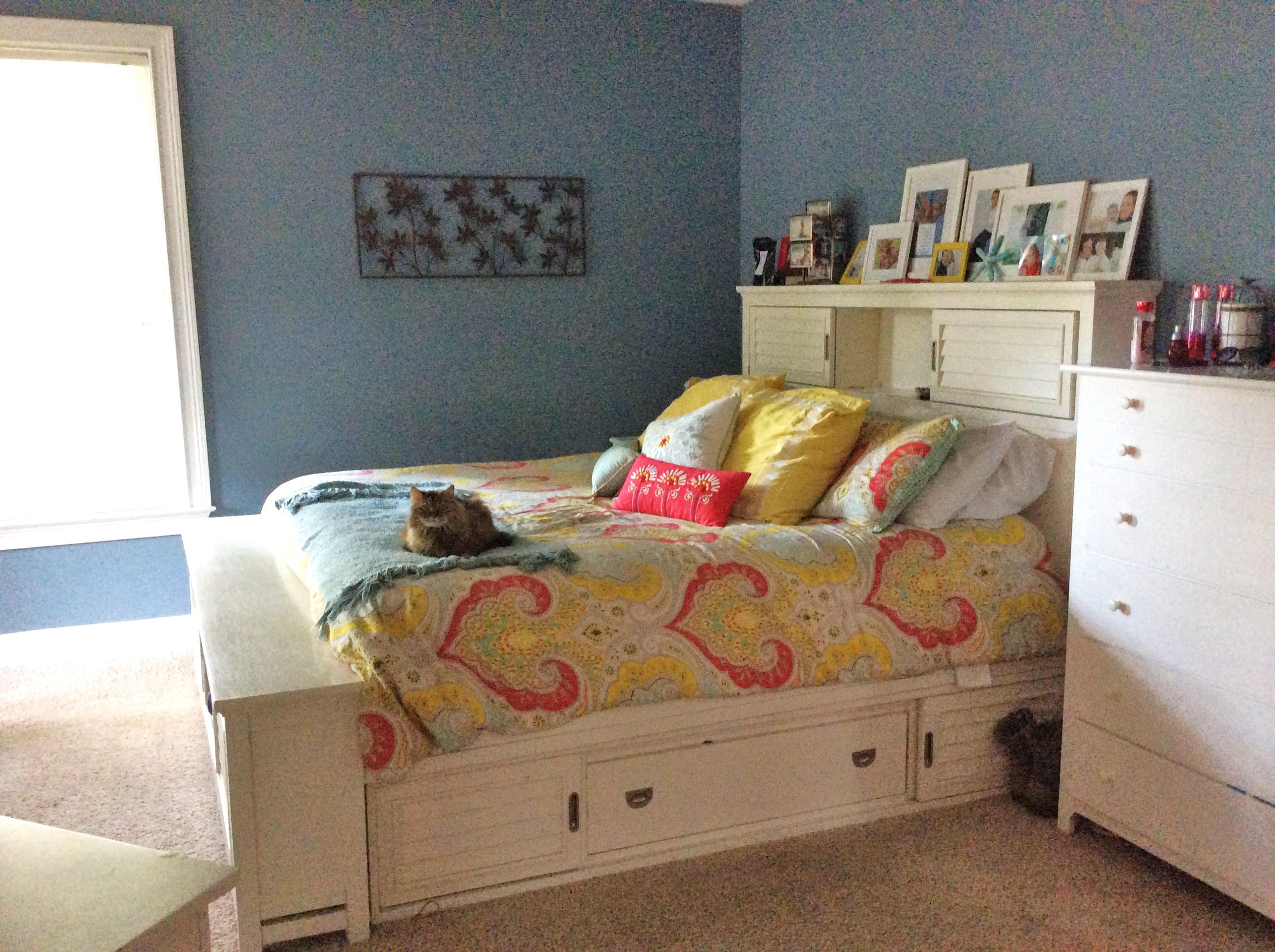 CHIPPEWA - Residential Lease