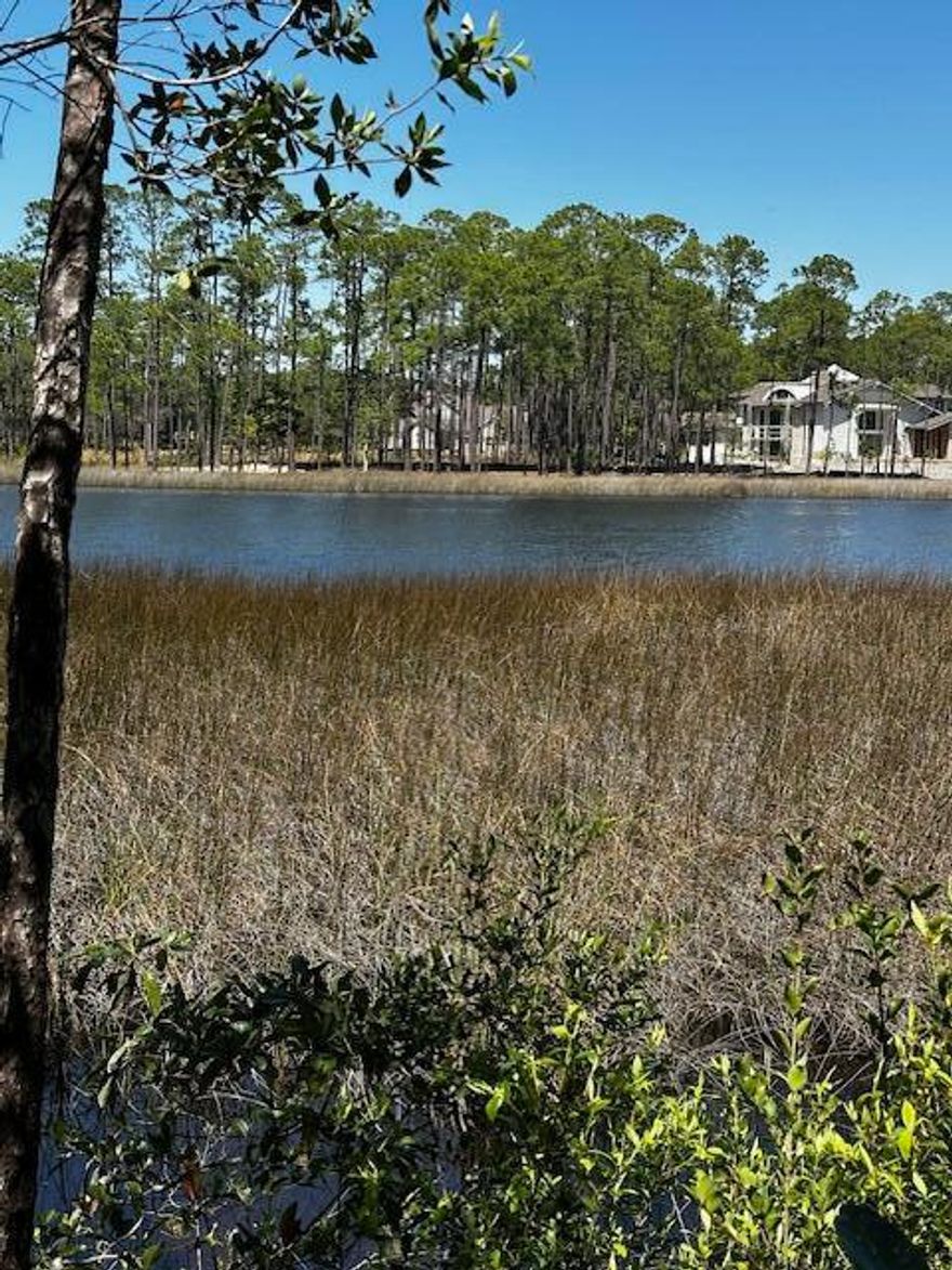 Discover an extraordinary opportunity to build your dream waterfront retreat on this coveted .59-acre lot in the prestigious Wild Heron community. Nestled along the tranquil shores of Powell Lake, this expansive and level lot offers a rare chance to create a bespoke masterpiece tailored to your vision.Included are approved architectural plans, meticulously crafted landscape designs, and a comprehensive survey, streamlining the path to realizing your dream home. Imagine waking up to panoramic views of the serene lake each morning and enjoying the peaceful ambiance that only waterfront living can provide. Wild Heron is renowned for its exceptional amenities, including access to the acclaimed Sharks Tooth Golf Course designed by Greg Norman (additional membership required).  SEE MORE.... Residents also enjoy exclusive privileges such as tennis courts, a luxurious swimming pool, a state-of-the-art fitness center, and a private boathouse with dock access. Relax by the lakeside firepit or explore miles of scenic trails and the picturesque boardwalkall within this gated sanctuary.

Whether you're envisioning a tranquil retreat or an active lifestyle surrounded by nature's beauty, this lot offers the perfect canvas. Don't miss out on this rare opportunity to secure your piece of paradise. Schedule a showing today and experience firsthand the endless possibilities that await in this premier waterfront community.
