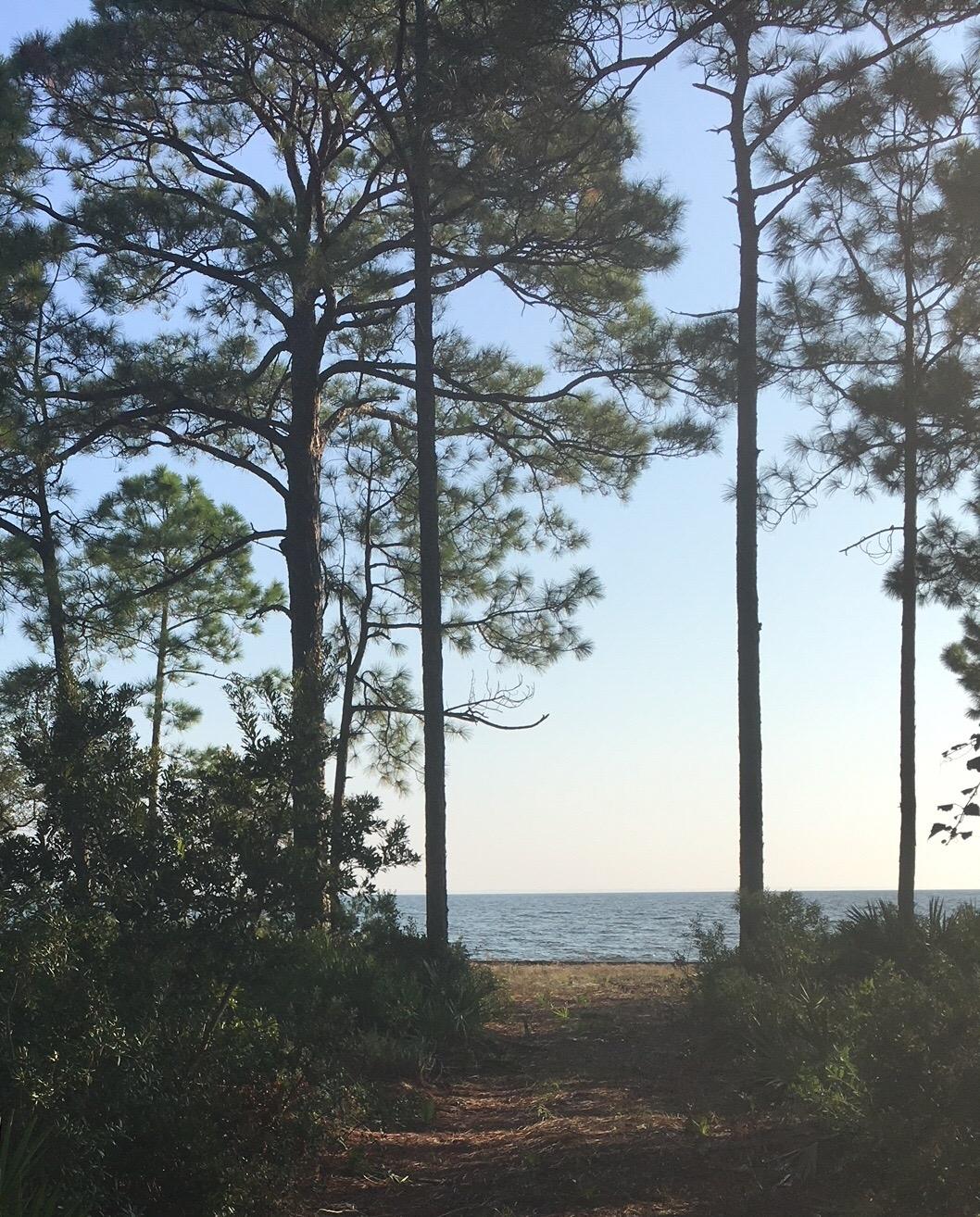 Driftwood Estates - Land