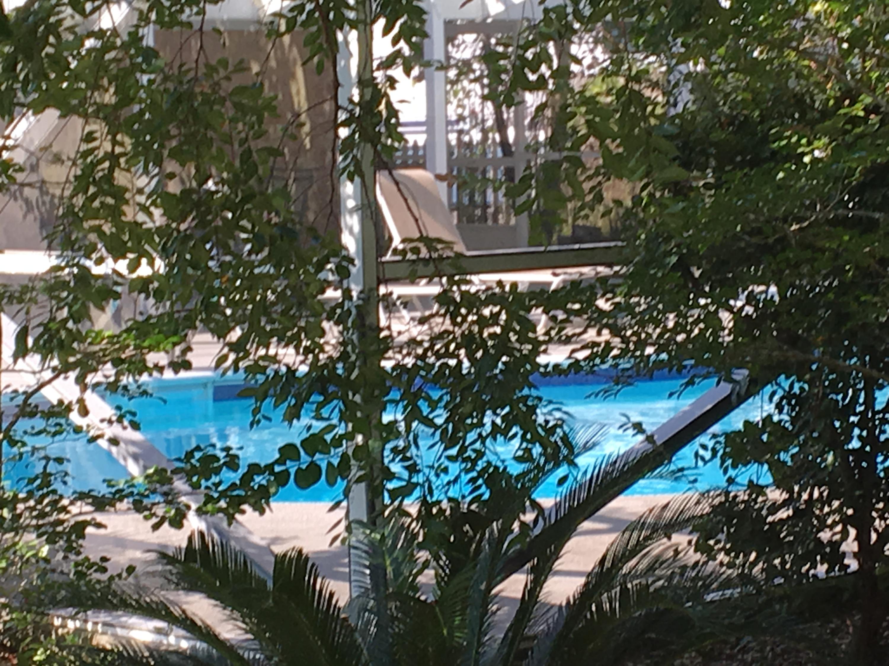 COLLEGE WOOD - Residential