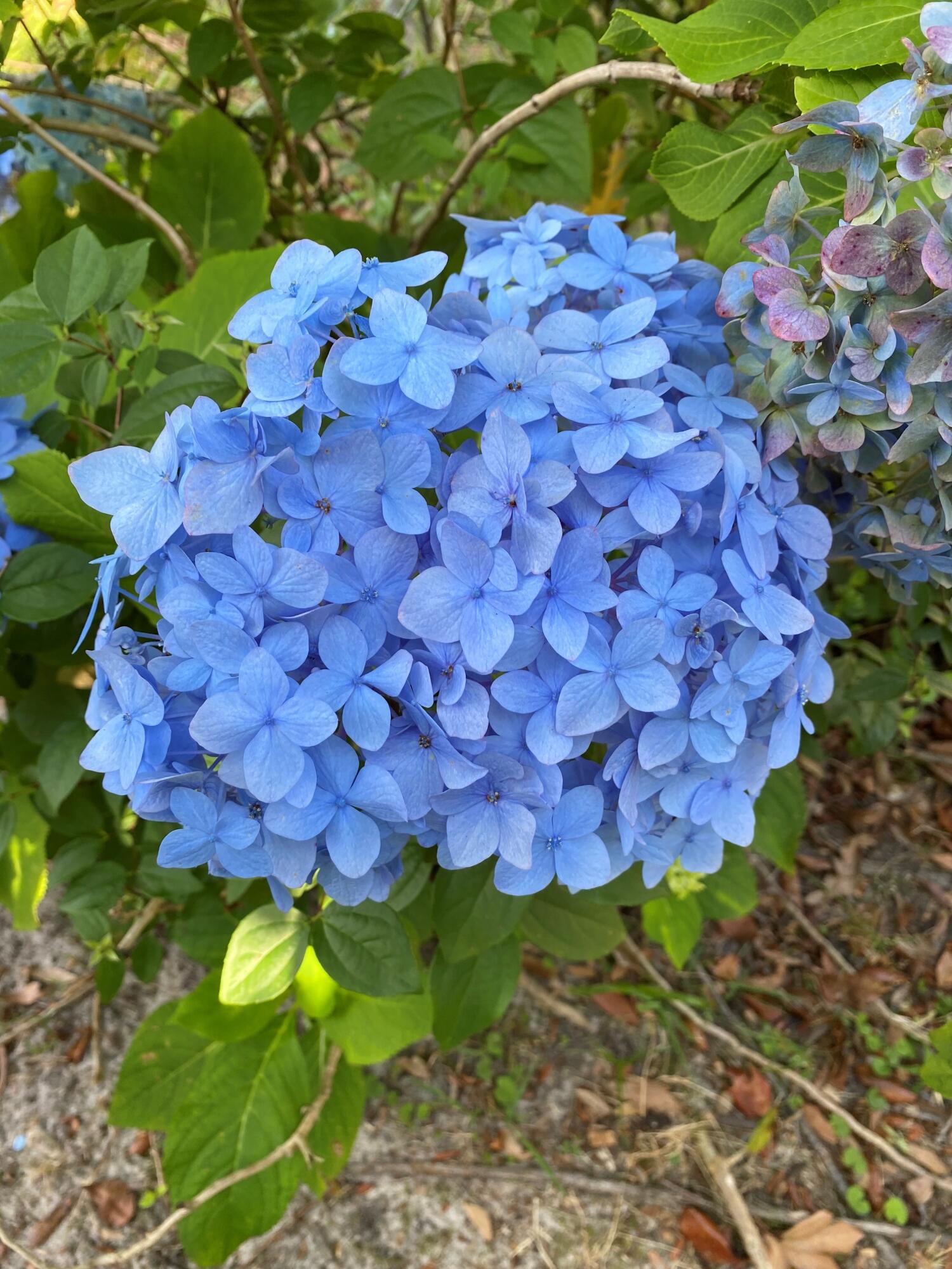 BAYOU WOODS 2ND ADDN - Residential