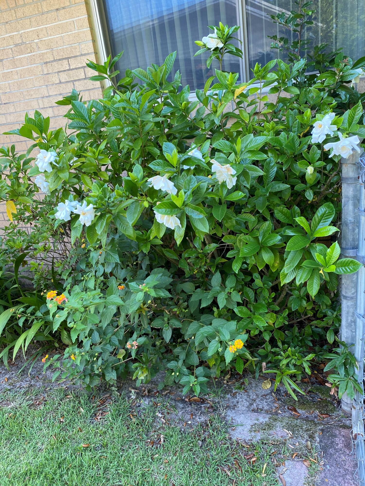 BAYOU WOODS 2ND ADDN - Residential