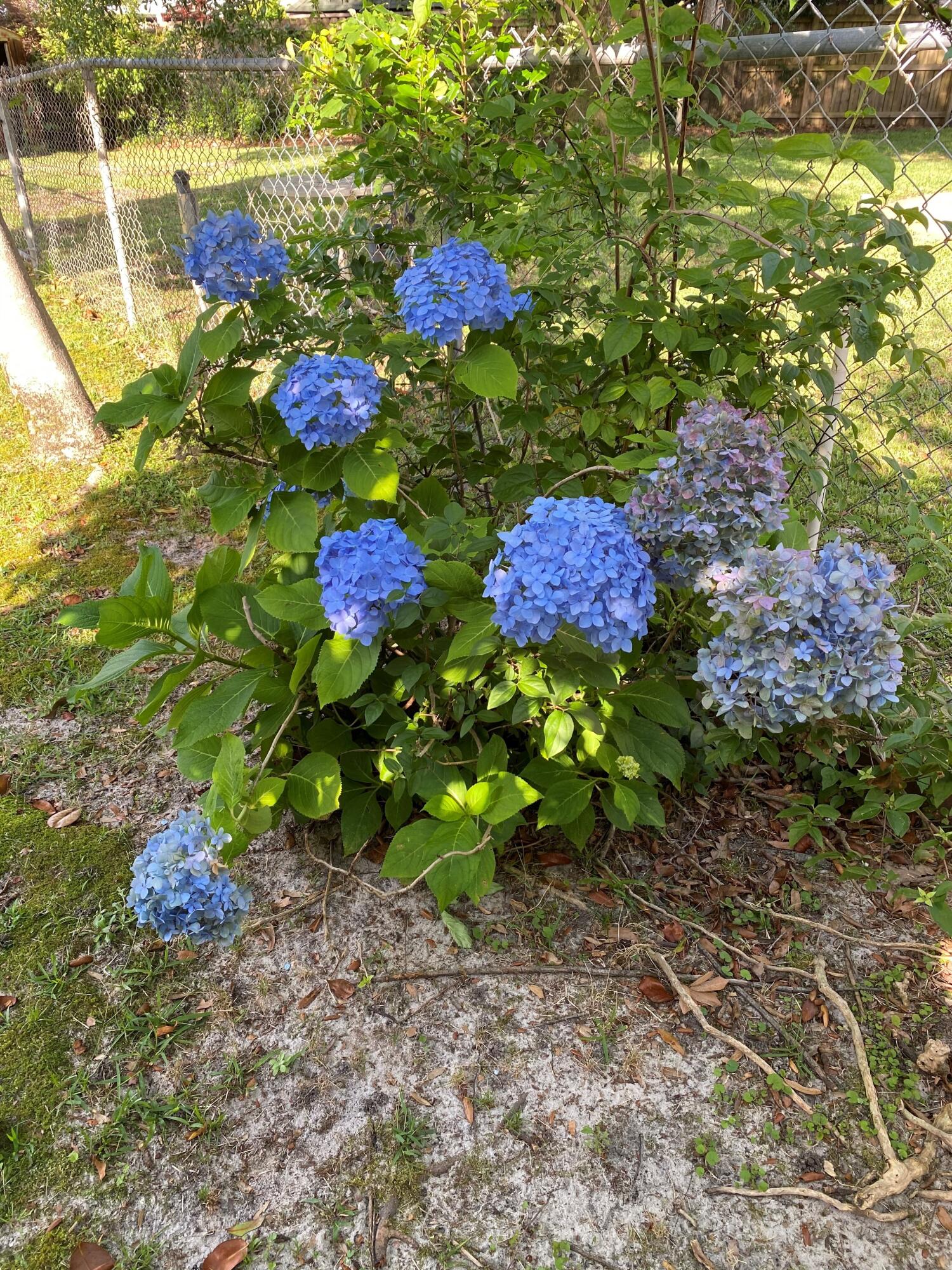 BAYOU WOODS 2ND ADDN - Residential