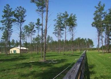 STABLES AT SANDY PINES - Land