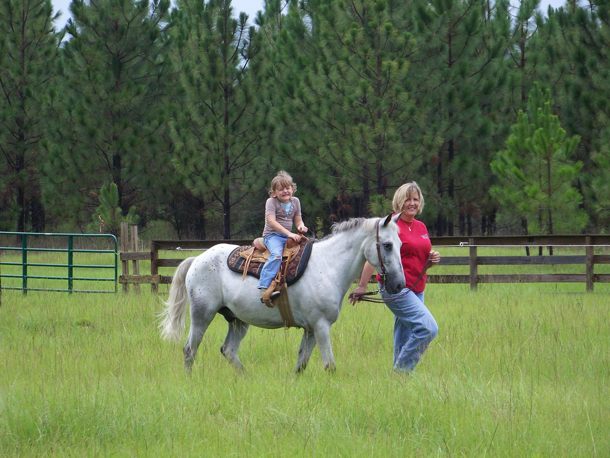 STABLES AT SANDY PINES - Land