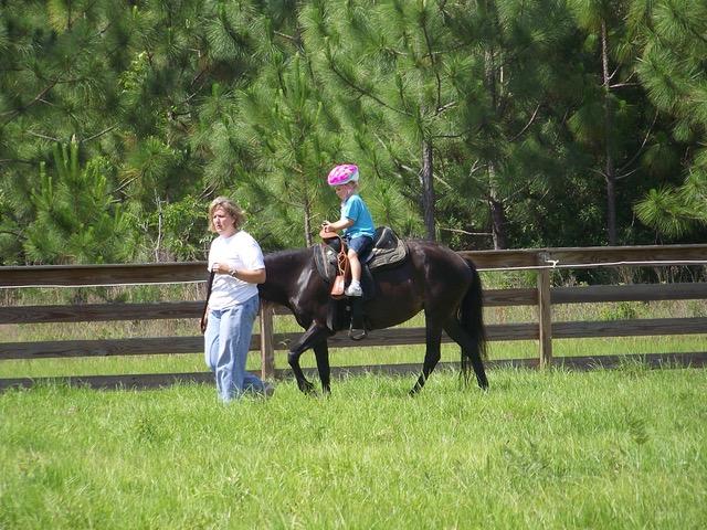 STABLES AT SANDY PINES - Land