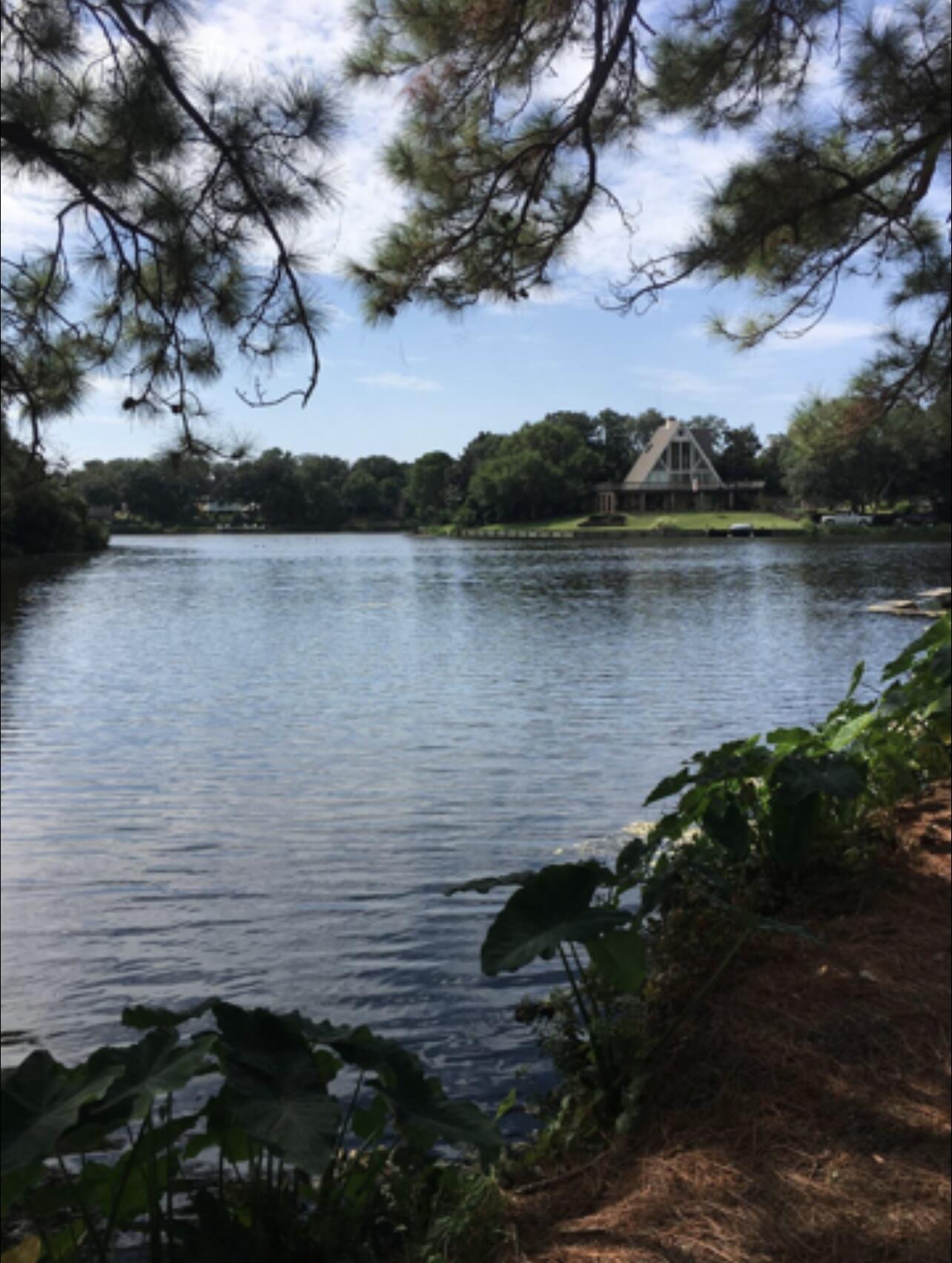 PINE RIDGE TRACE RE/SUB - Residential