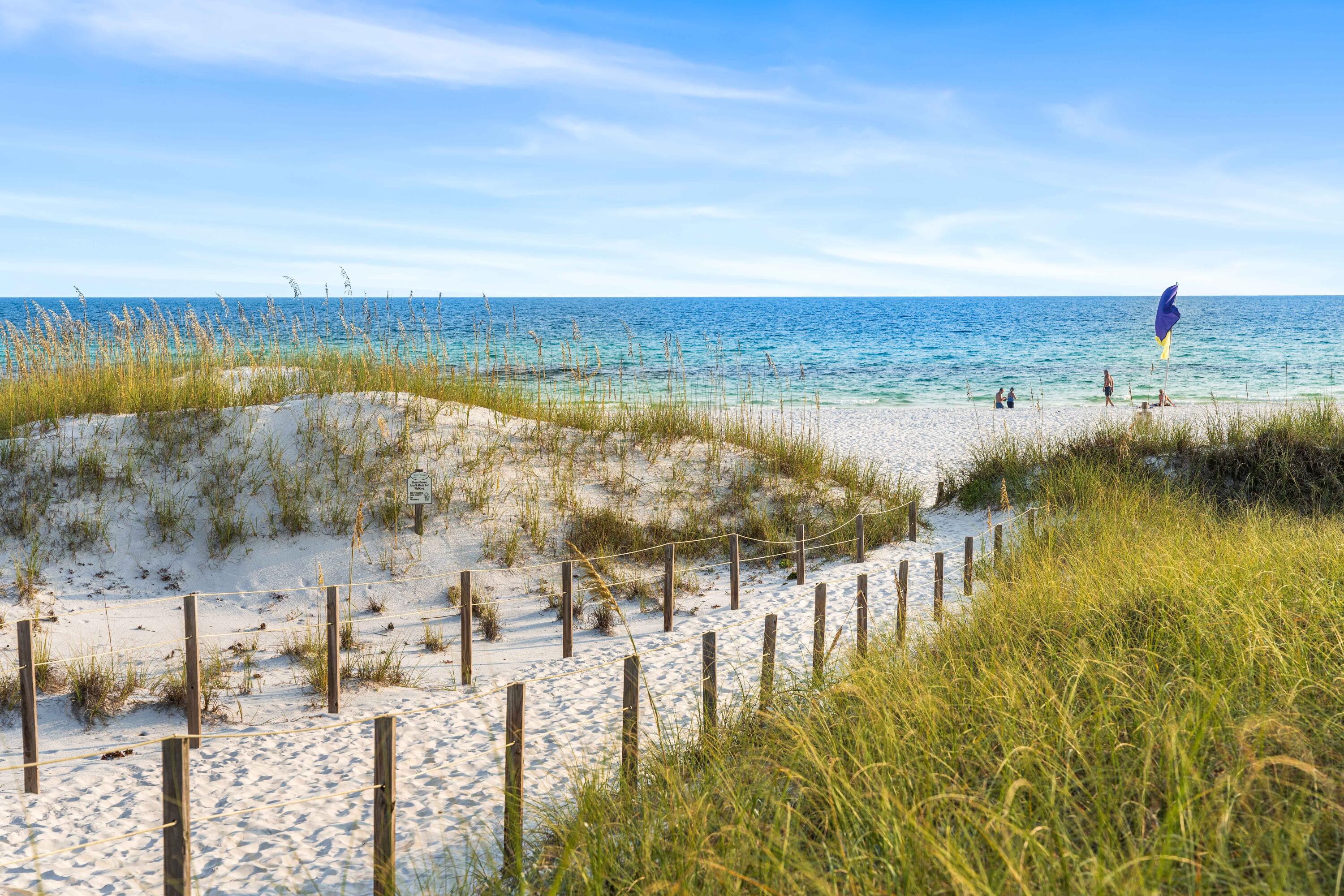 THE PRESERVE AT GRAYTON BEACH - Residential