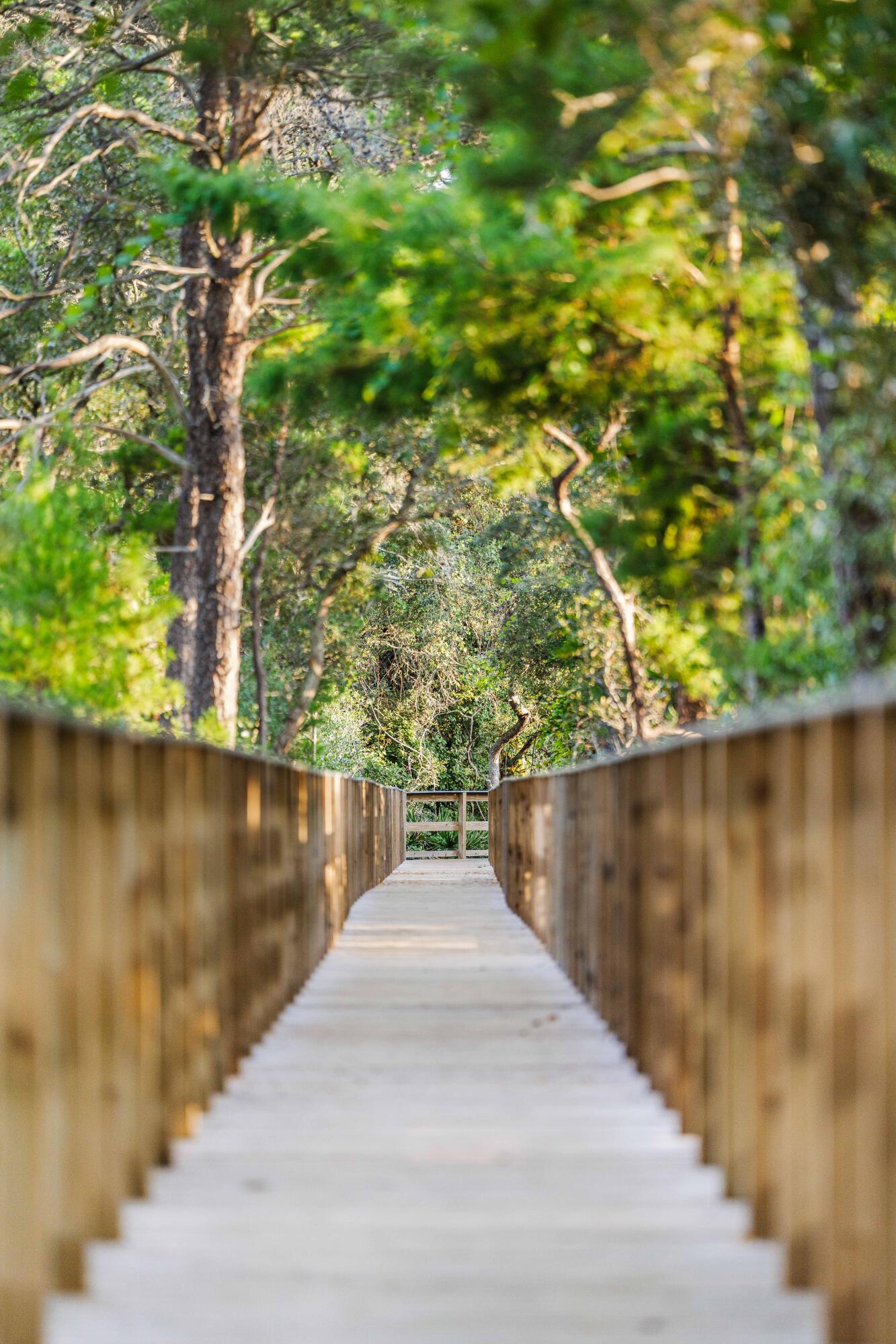 THE PRESERVE AT GRAYTON BEACH - Residential