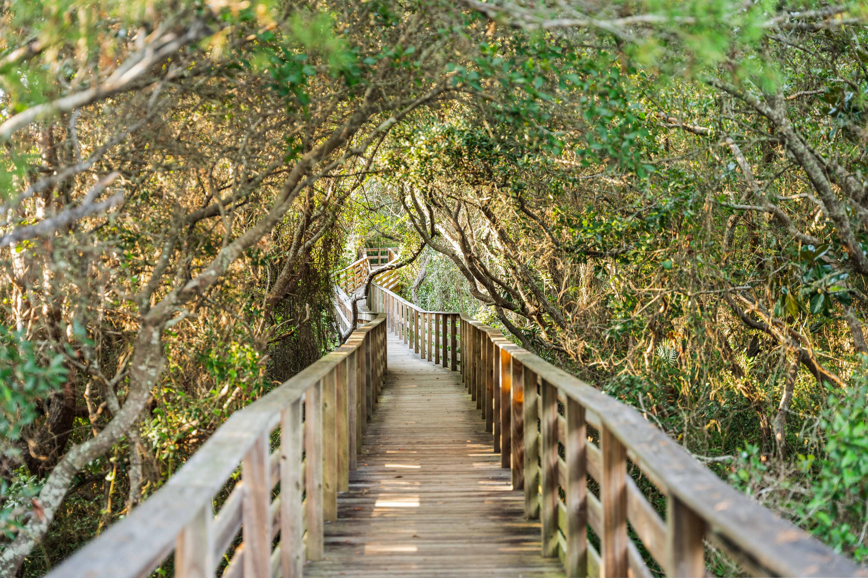 THE PRESERVE AT GRAYTON BEACH - Residential