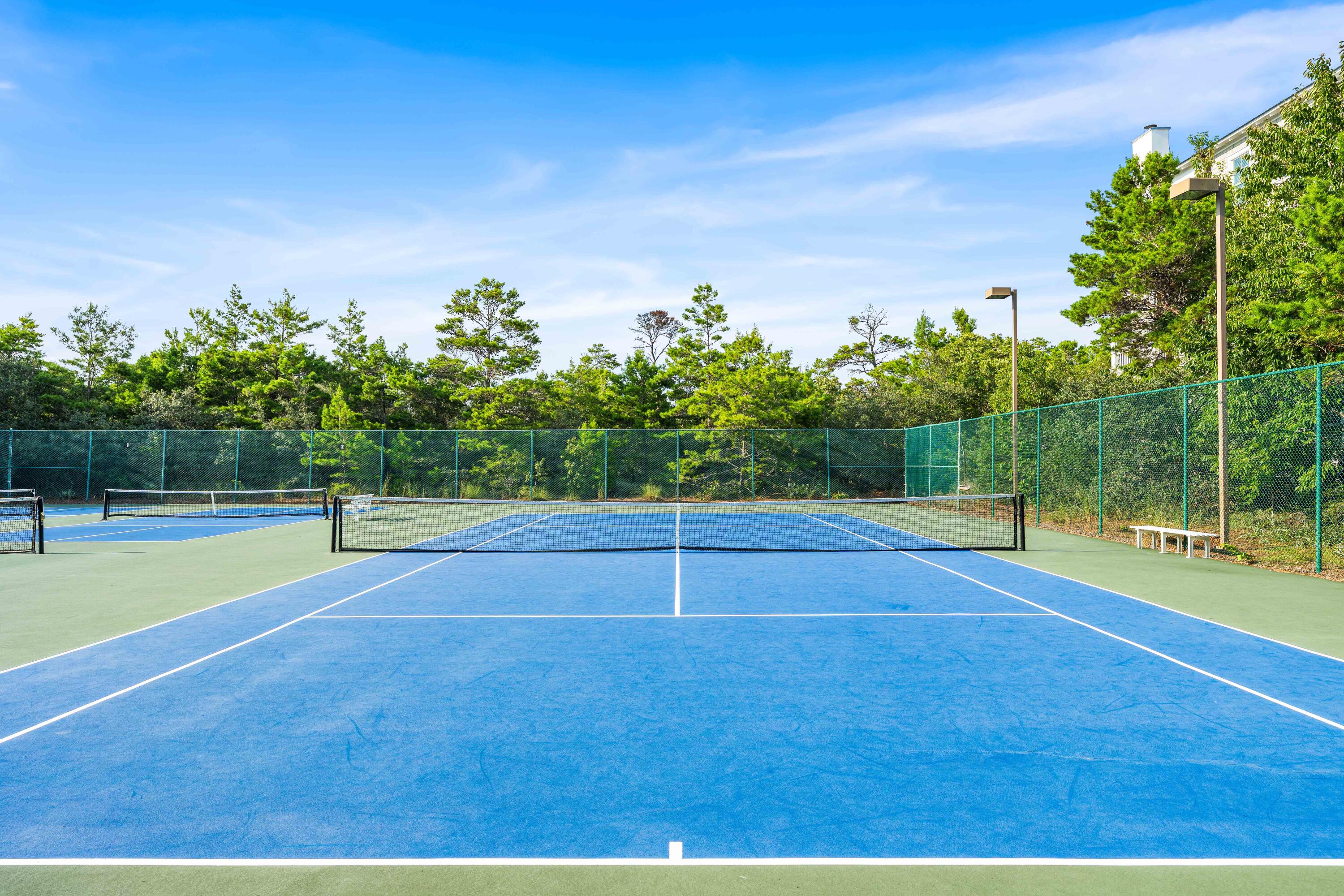 THE PRESERVE AT GRAYTON BEACH - Residential