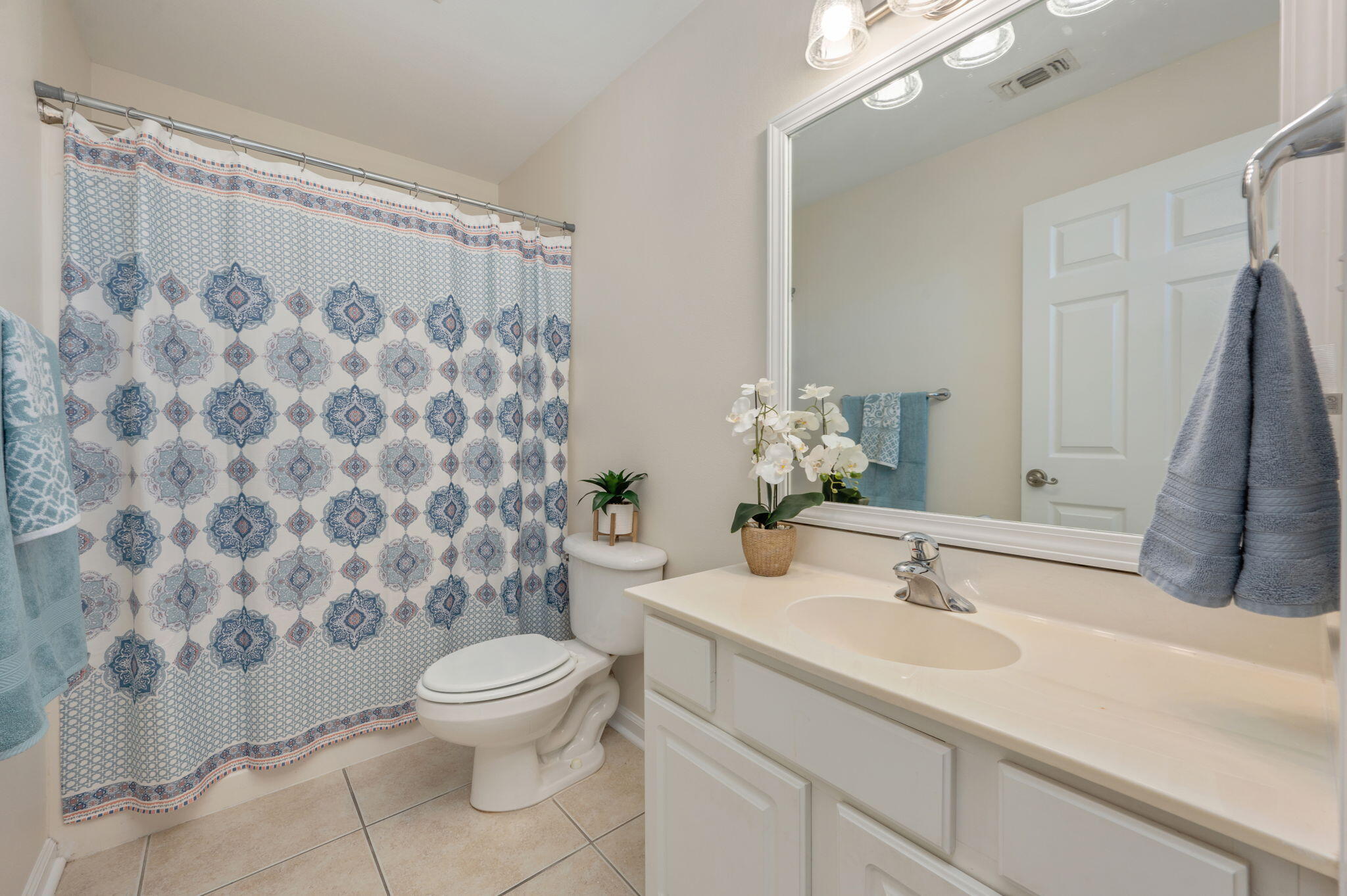 OLDE FLORIDA LAKES - Residential