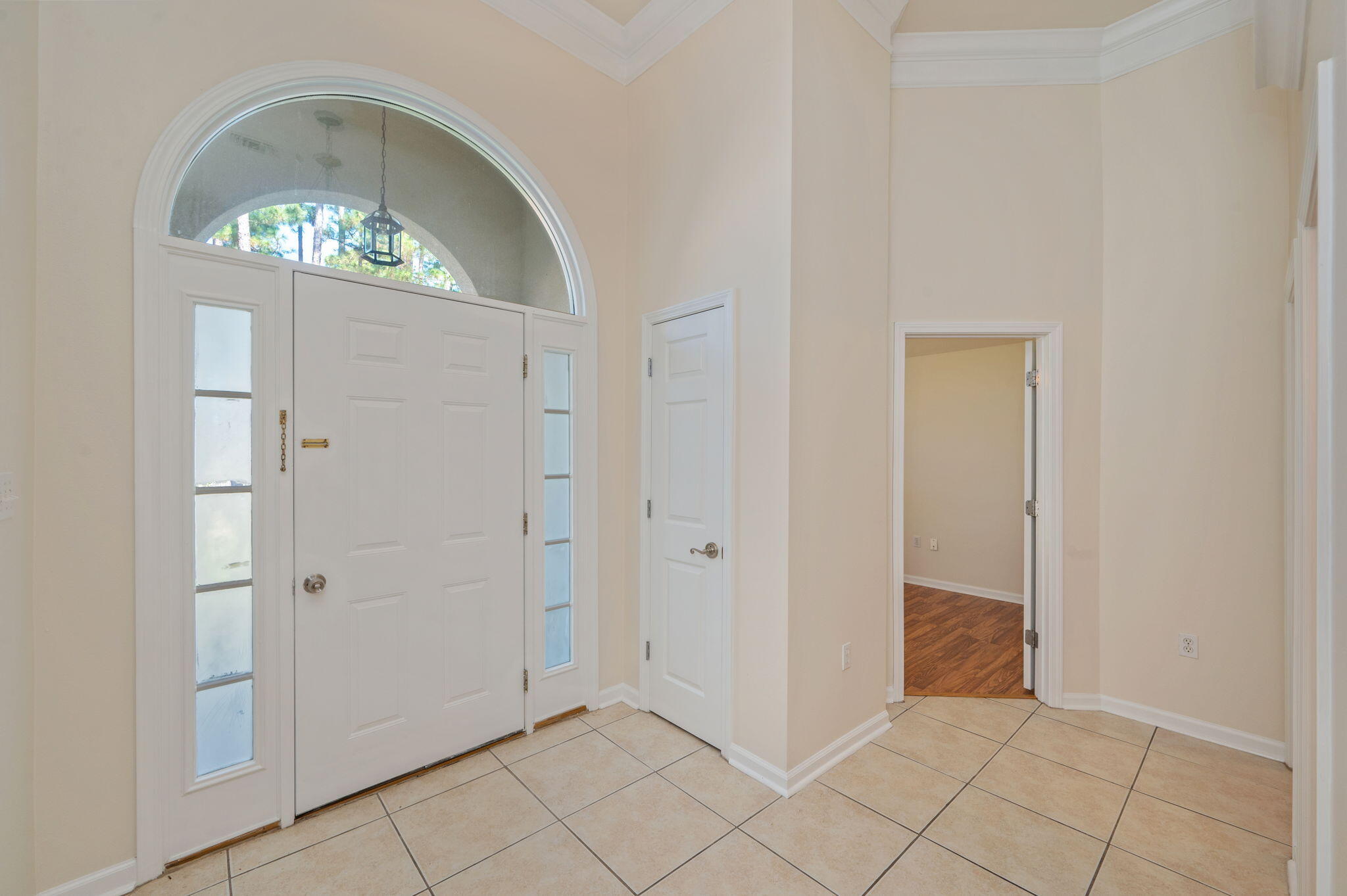 OLDE FLORIDA LAKES - Residential