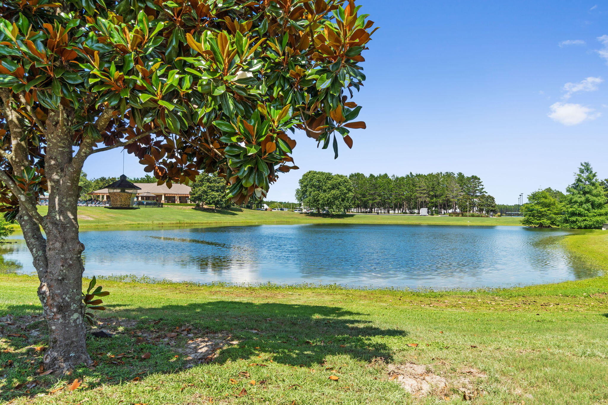 HAMMOCK BAY - Residential