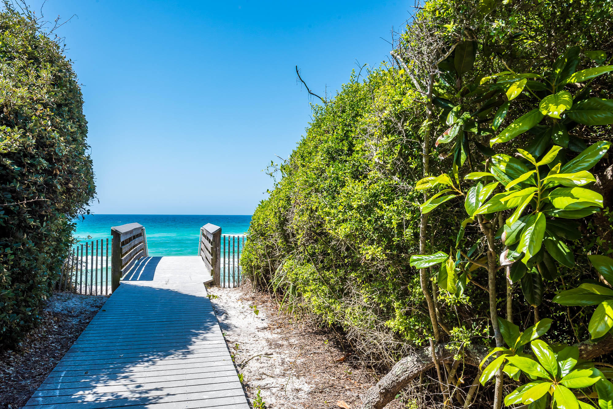 BLUE MOUNTAIN BEACH - Residential