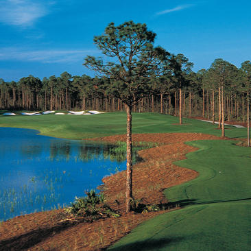 Westwinds at Sandestin - Residential