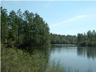 BEAUTIFUL WOODED LAND THAT GENTLY SLOPES DOWN TO THE CRYSTAL CLEAR LAKE. NO MOBILE OR MANFACTURED HOMES ALLOWED.  PROPERTY APPRAISER SHOWS 12.5 ACRES BUT SURVEY SHOWS 13.5 ACRES.SURVEY ATTACHED IN DOCUMENTS OR RECORDED BOOK 1963 PAGE 213