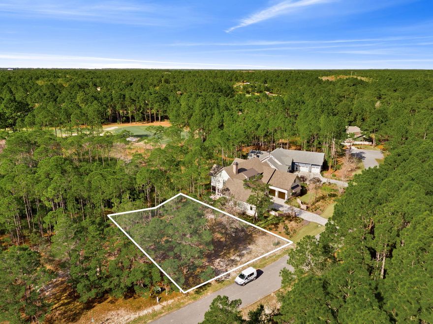 Build your custom dream home in the prestigious gated community of Wild Heron. Located at 1609 Dayflower Drive, this beautifully wooded homesite offers privacy and a serene natural backdrop surrounded by mature pines. The lot's unique shape provides flexibility for creative home design while maintaining space and separation from neighboring properties.Enjoy all that Wild Heron has to offer, including access to Lake Powell, community dock, resort-style pool, fitness center, and walking trails. With a Watersound Club Membership you will have access to Tennis and the renowned Sharks Tooth Golf Course. Inquire for more about the club membership.Whether you're ready to build now or invest for the future, this homesite is an opportunity to be part of one of the area's most sought-after coastal communities.

Live the lifestyle. Build the vision.