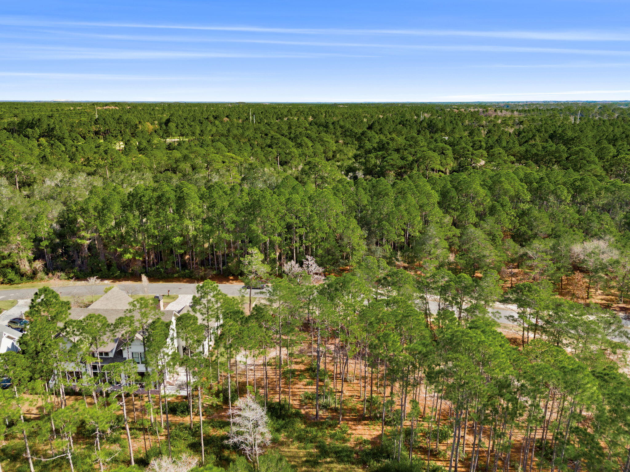 WILD HERON PHASE I - Land