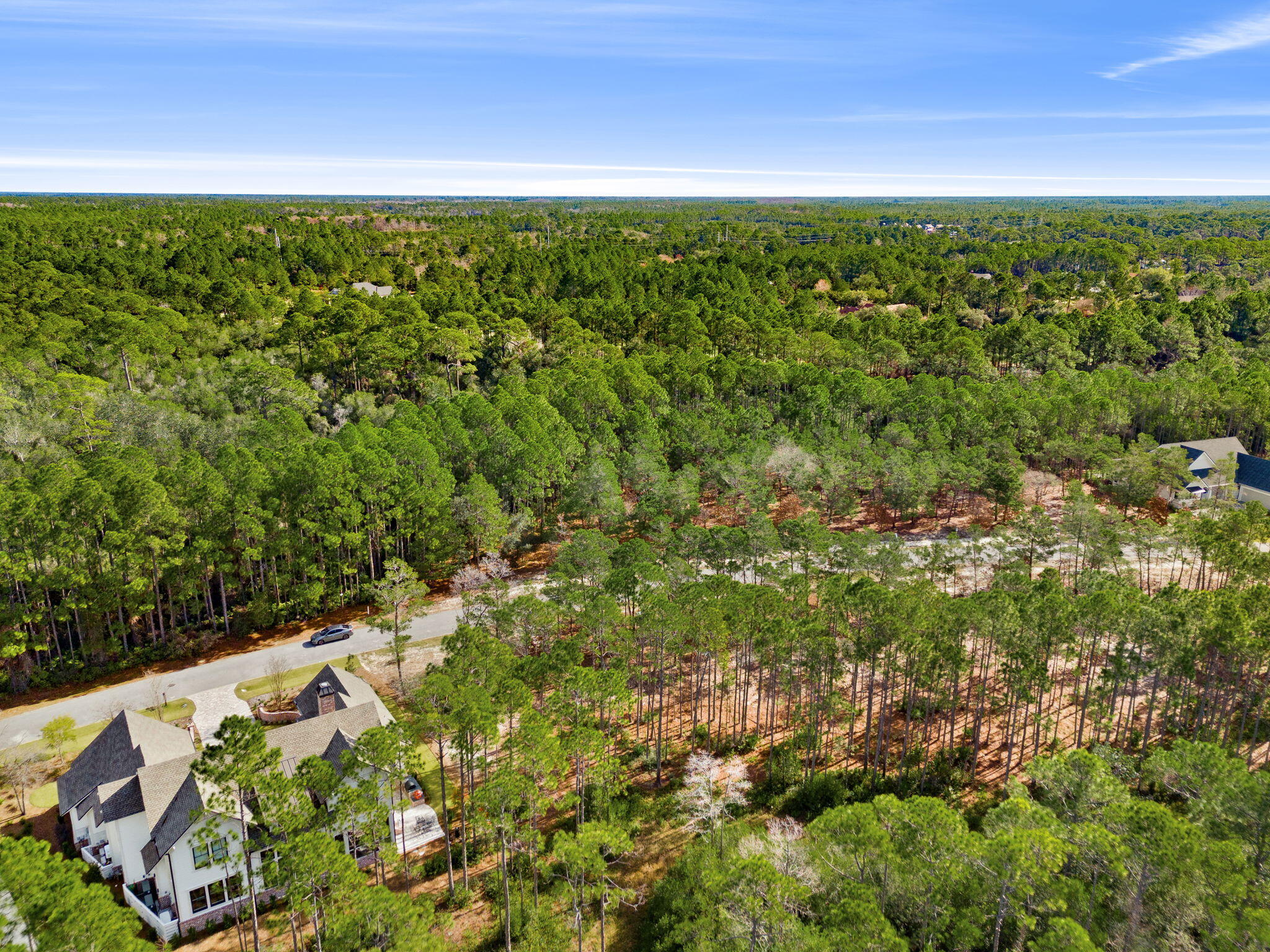 WILD HERON PHASE I - Land