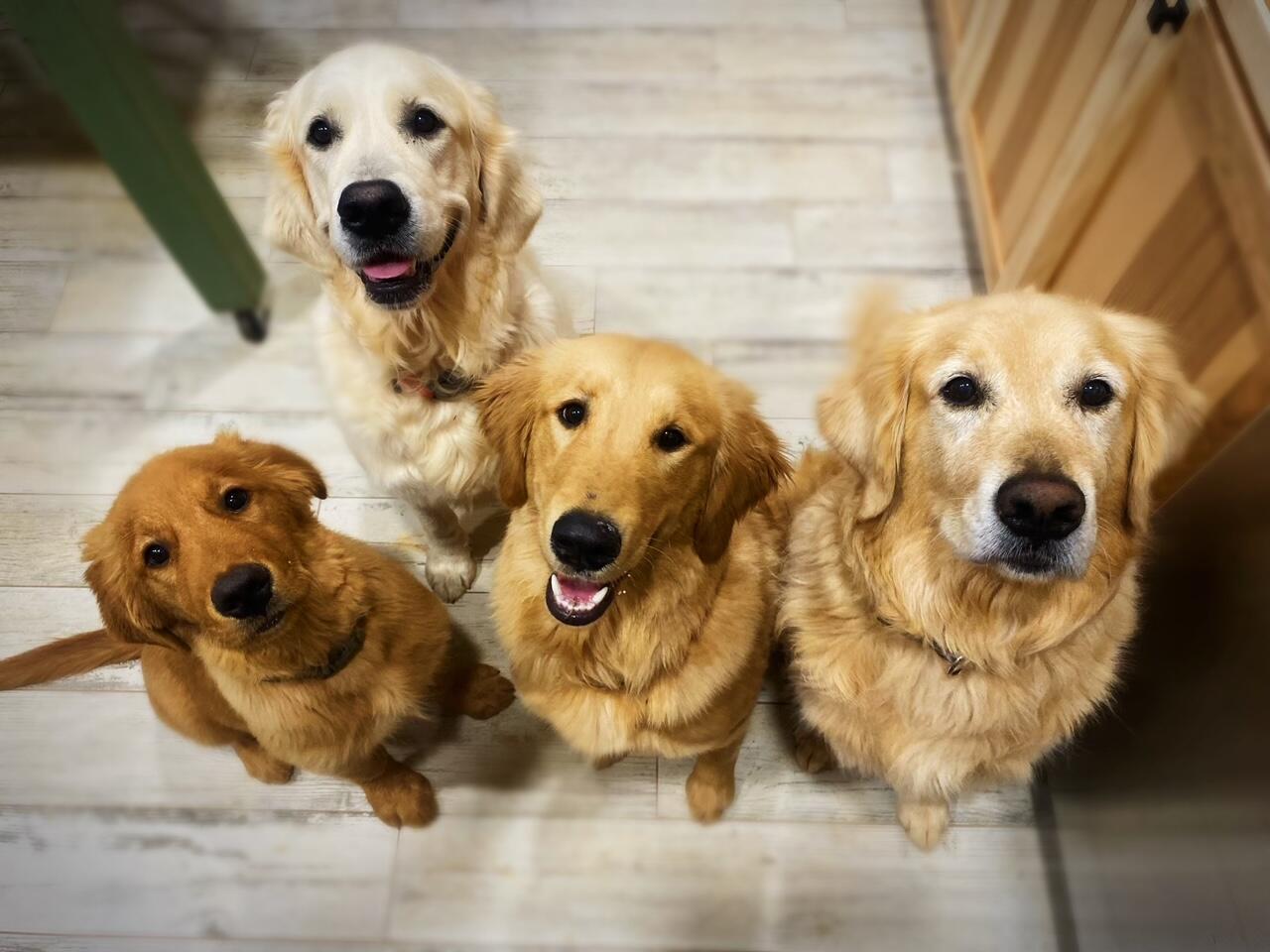 SHOAL RIVER LANDING - Residential Lease