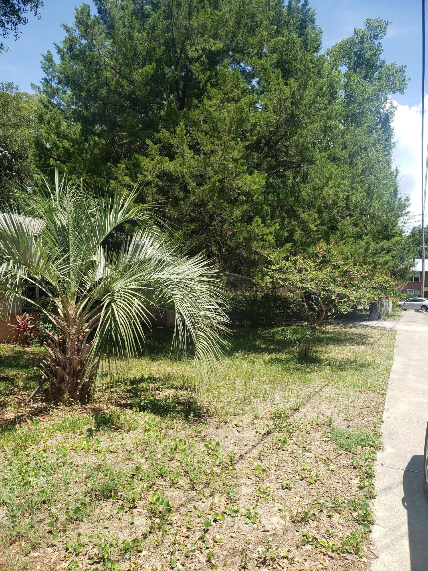 alconese place - Residential