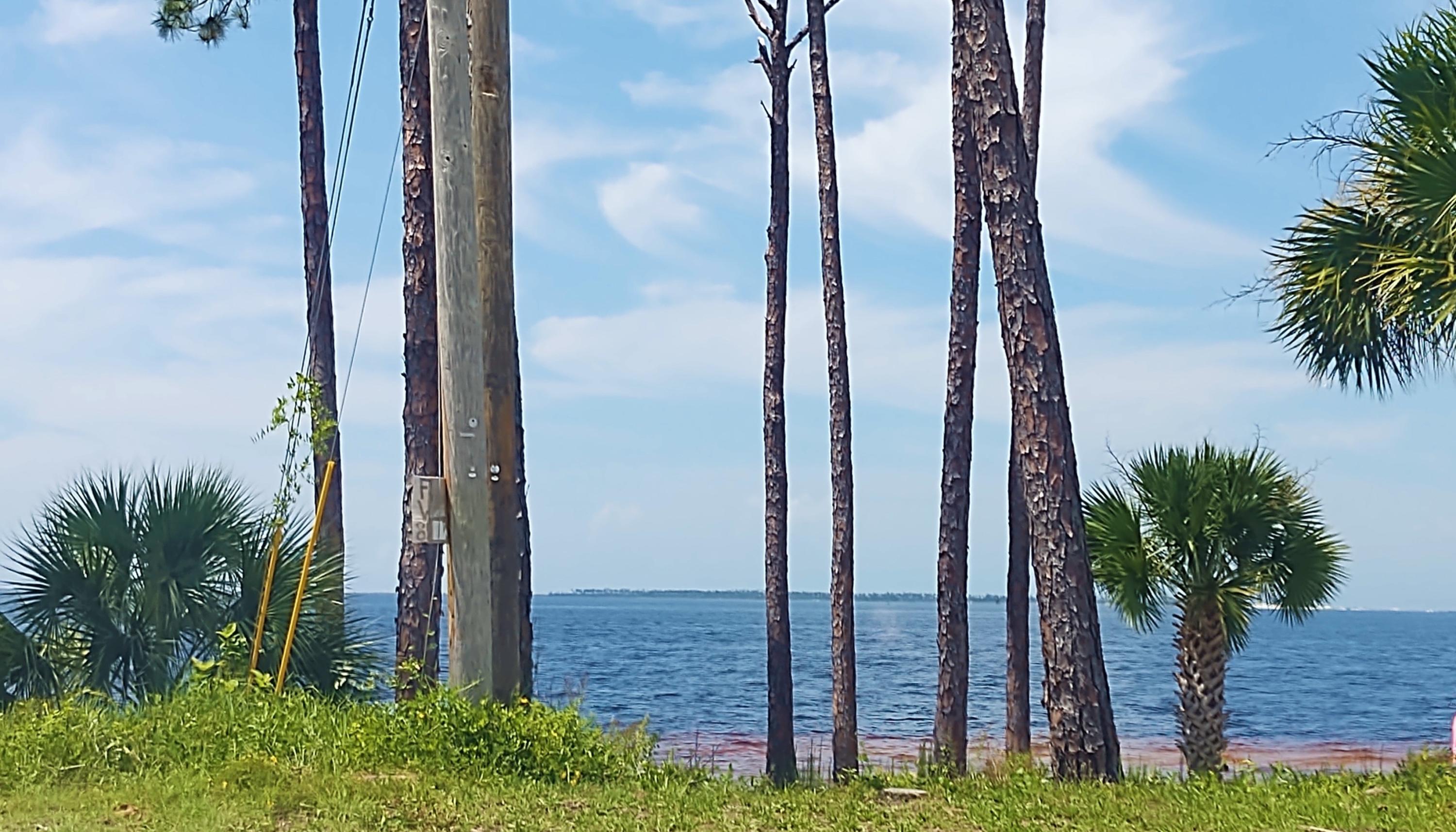 BAYSIDE - Residential