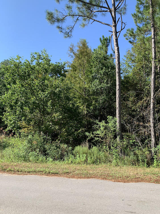 Prime lot in the sought after Pt. Washington area. Half acre lots in Eden Estates Subdivision. Restrictions but not too restricted. Beautiful Oaks and Magnolias; New homes being built throughout the subdivision and lot big enough for plenty of land. No mobile homes in subdivision. No HOA and no fees . Beautiful lot. Live in great neighborhood with easy access for boat launching at public launch in Pt. Washington and drive to the beach just across 98.
