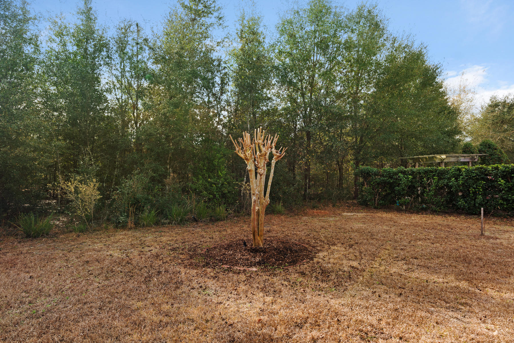 CHANAN ESTATES - Residential