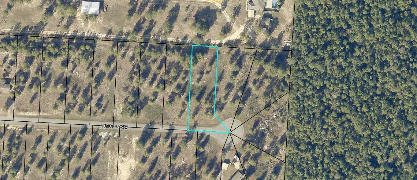 Very nice lot close to Crestview. Close ride to Ft. Walton and Destin. Zoned for multi-section manufactured housing. Underground water and power. Go show anytime.