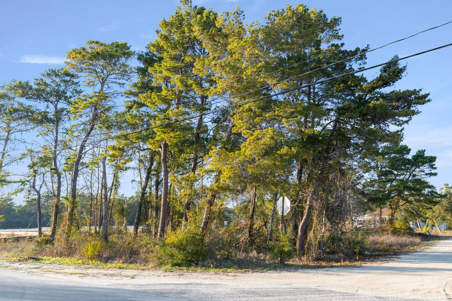 This lot is an elegant corner lot in Inlet Beach with NO HOA's. We have buildable plans willing to be given with property purchase. Plans include house with attached garage as well as a carriage house with double garage. Utilities are available. This exclusive lot with mature trees is tucked back near beautiful Lake Powell. Lot has direct path to beach access for Inlet Beach. Has walkability to 30A Avenues and the newly built tunnel to Highway 30A shops and neighborhoods. This lot is approximately a third of an acre, and can be yours! Don't miss out on this unique opportunity, call your favorite realtor for a showing today!