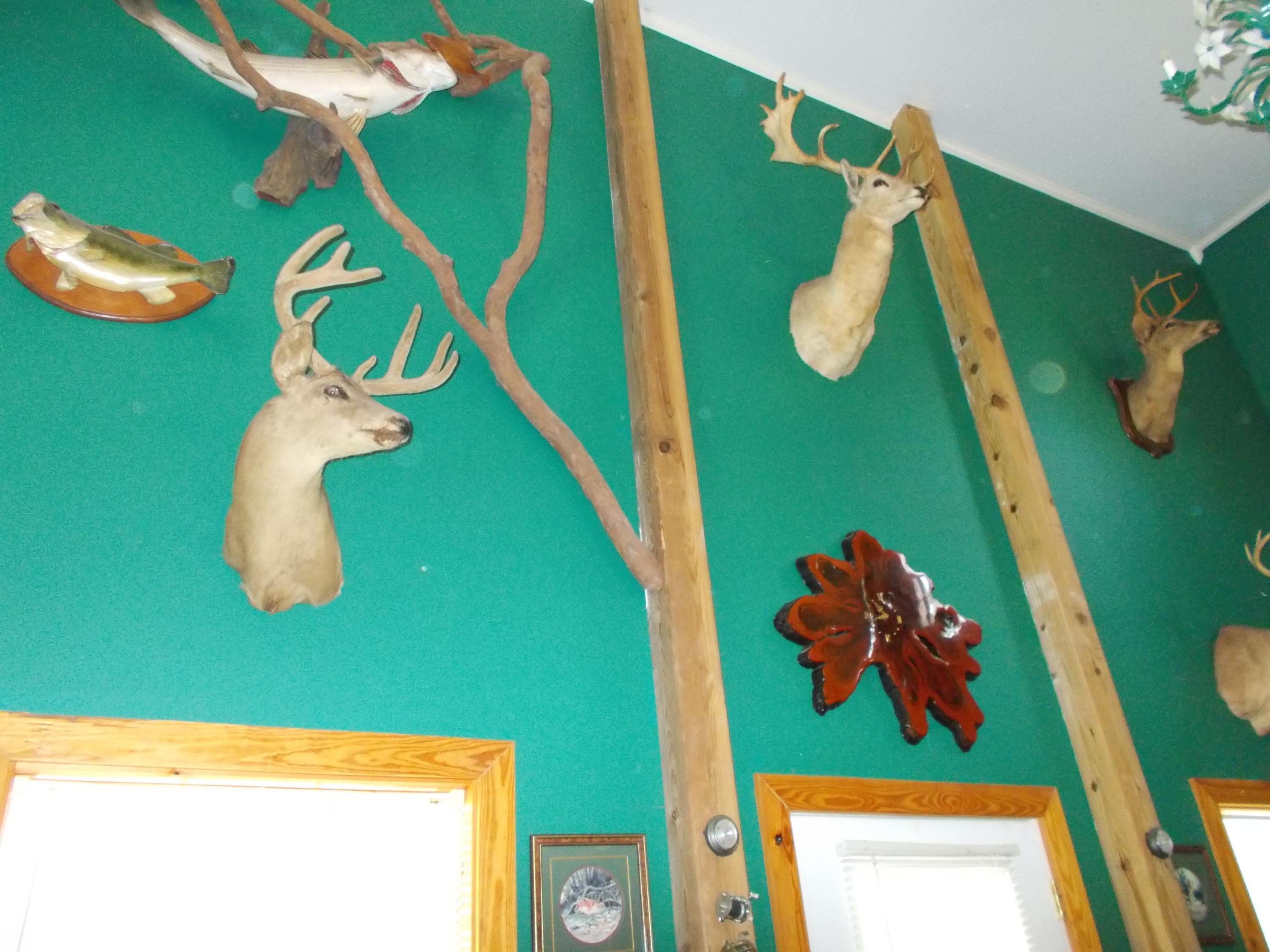 No S/D - Residential