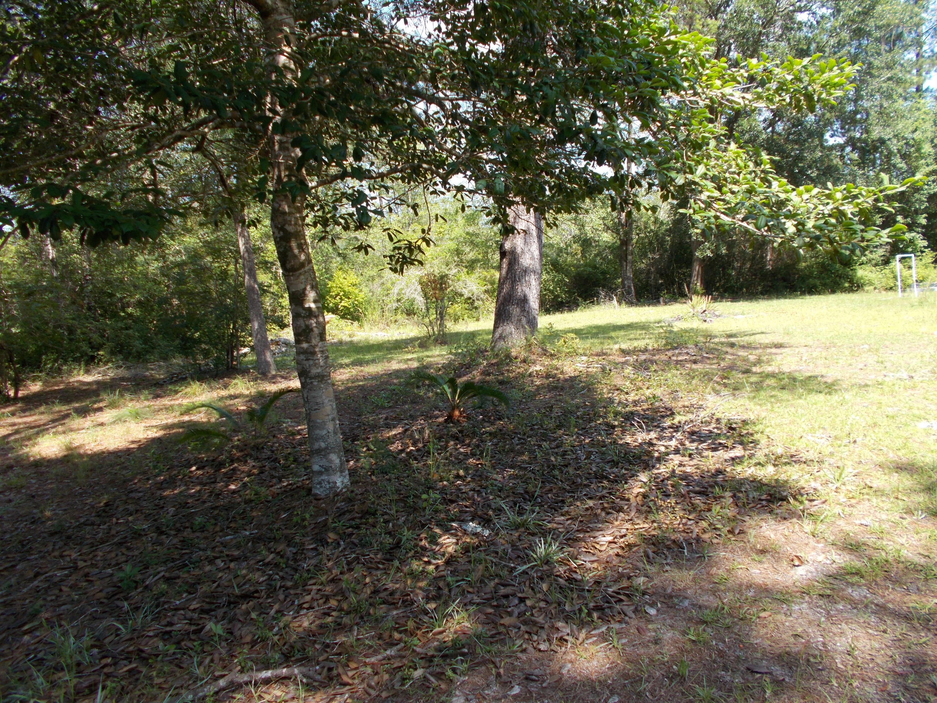 No S/D - Residential