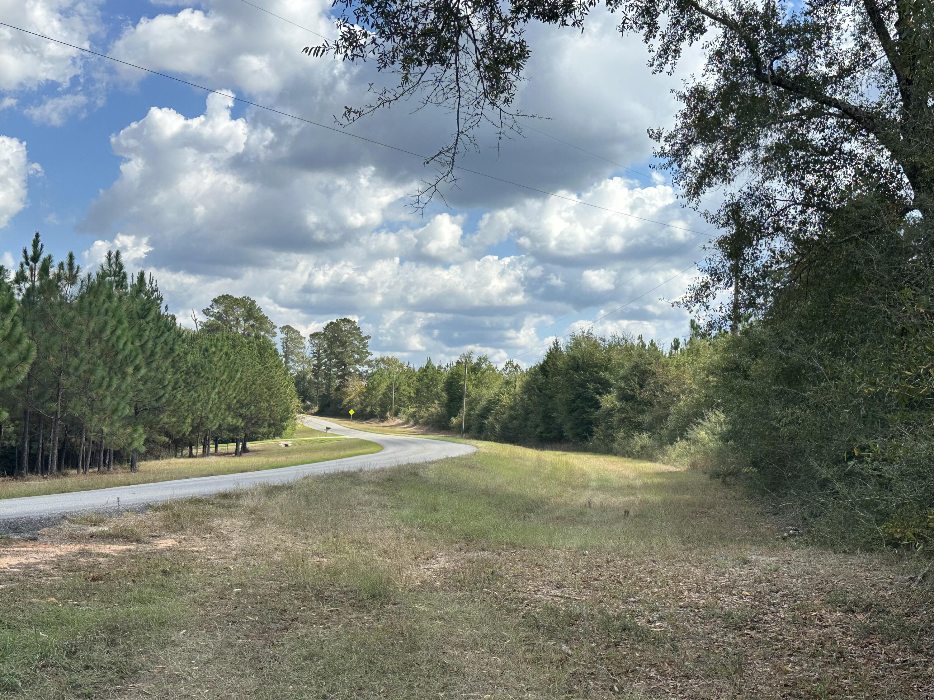 Do not enter with an agent who has an appointment. Tucked along New Ebenezer Road in Laurel Hill, this expansive tract offers a remarkable blend of natural beauty and long-term potential. Towering pines, gentle elevation changes, and existing trails throughout the property create an inviting landscape suited for a variety of future uses. A paved public road provides easy access, with power available along the frontage and ample space for privacy or development planning. Whether envisioned for recreation, future homesites, or long-term investment, this parcel showcases the quiet charm of North Okaloosa County while remaining easily accessible to the surrounding community.
